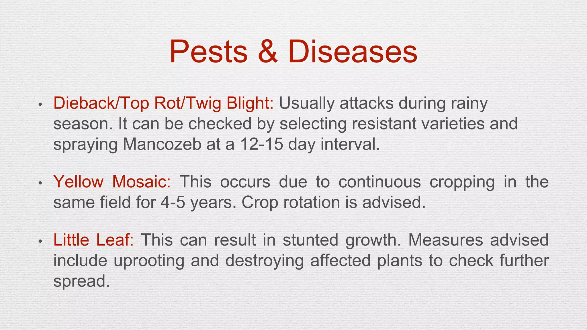 Slide 15