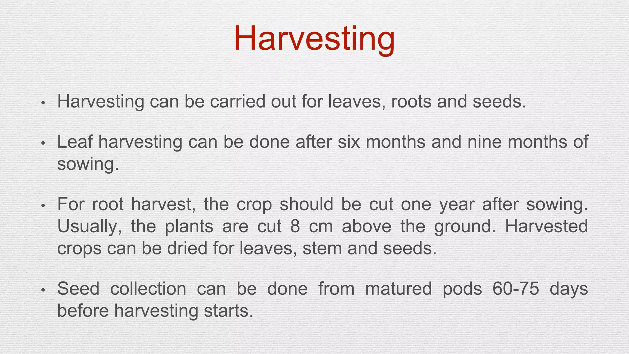 Slide 17