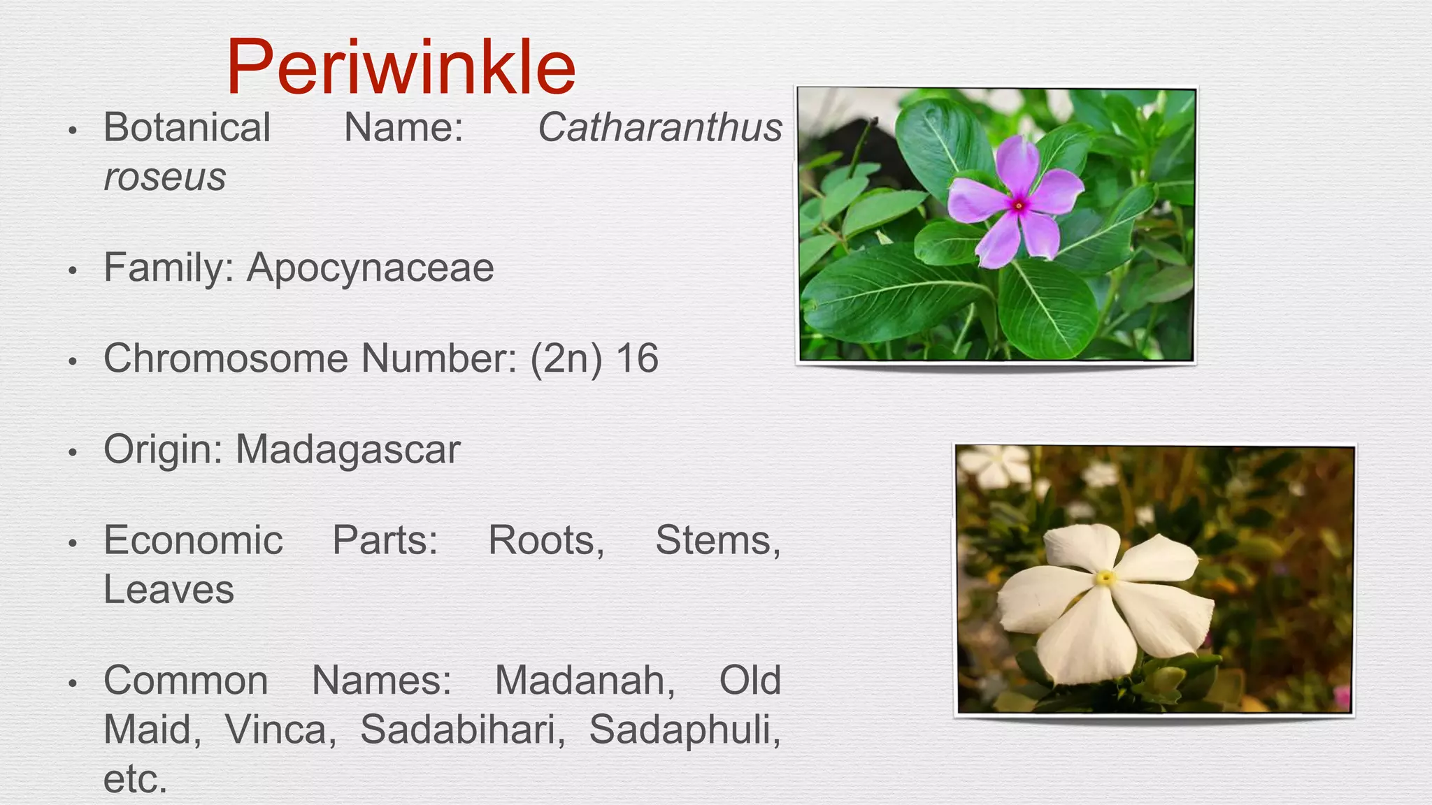 Slide 1