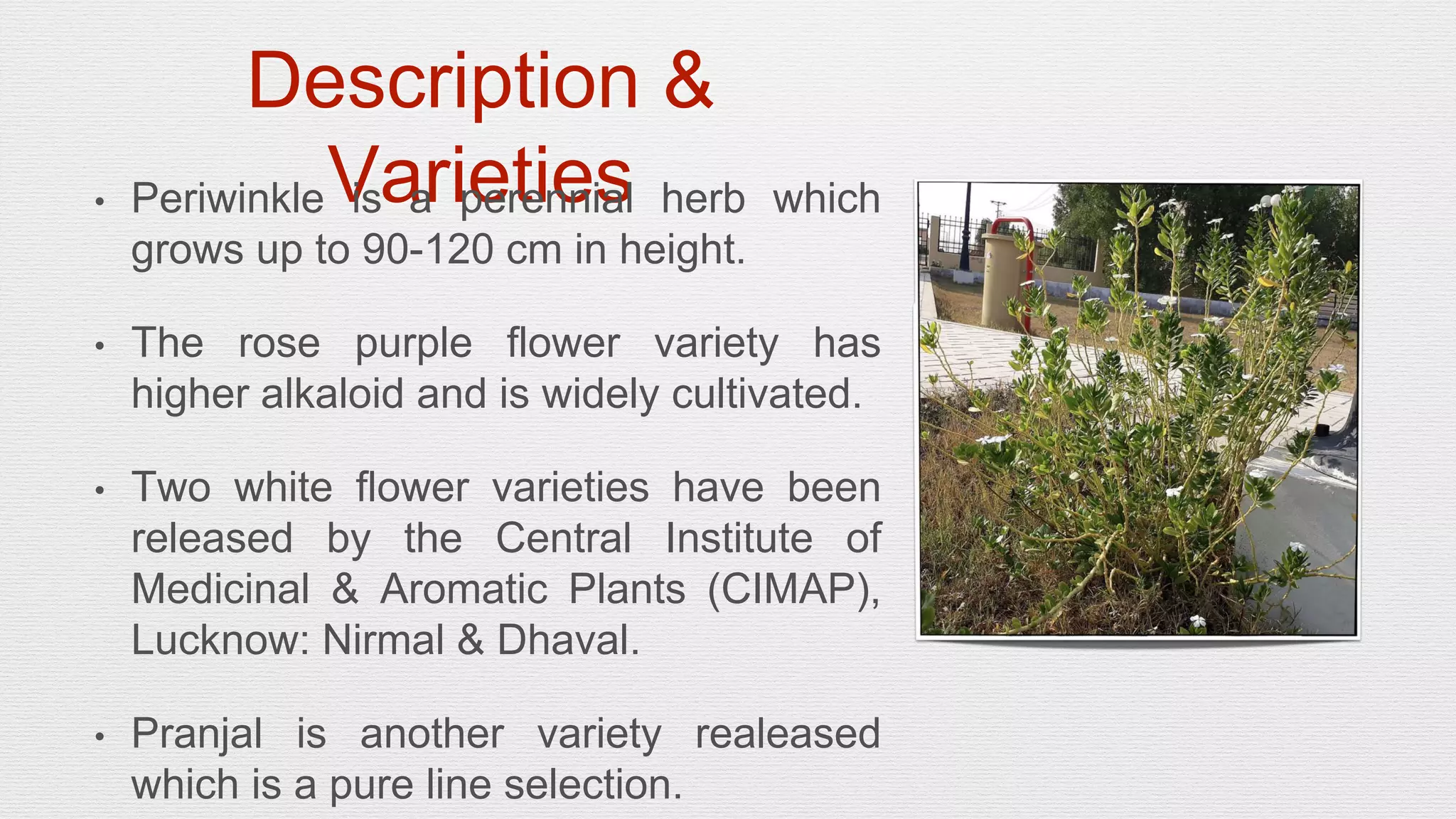 Slide 5