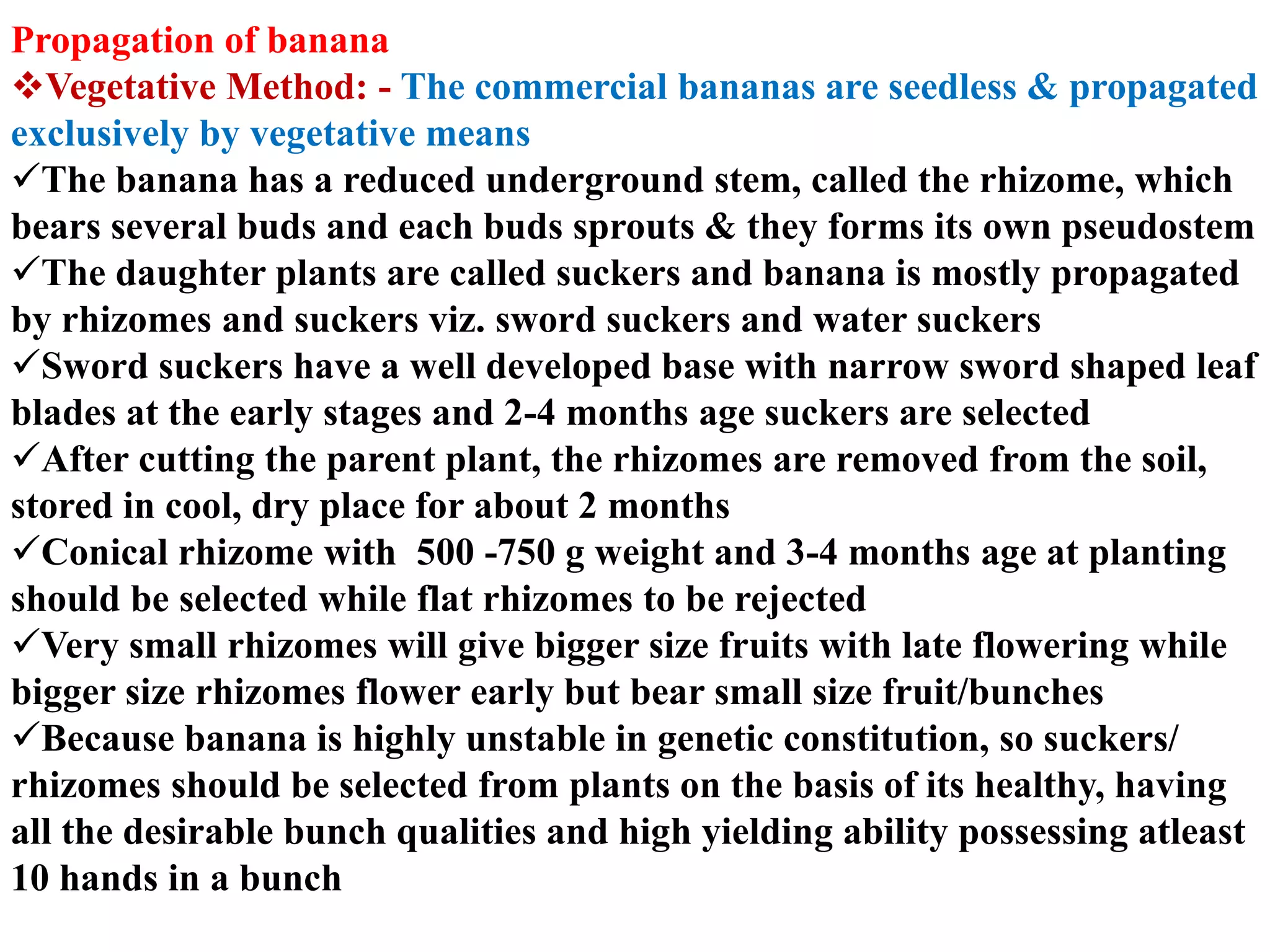 Slide 11