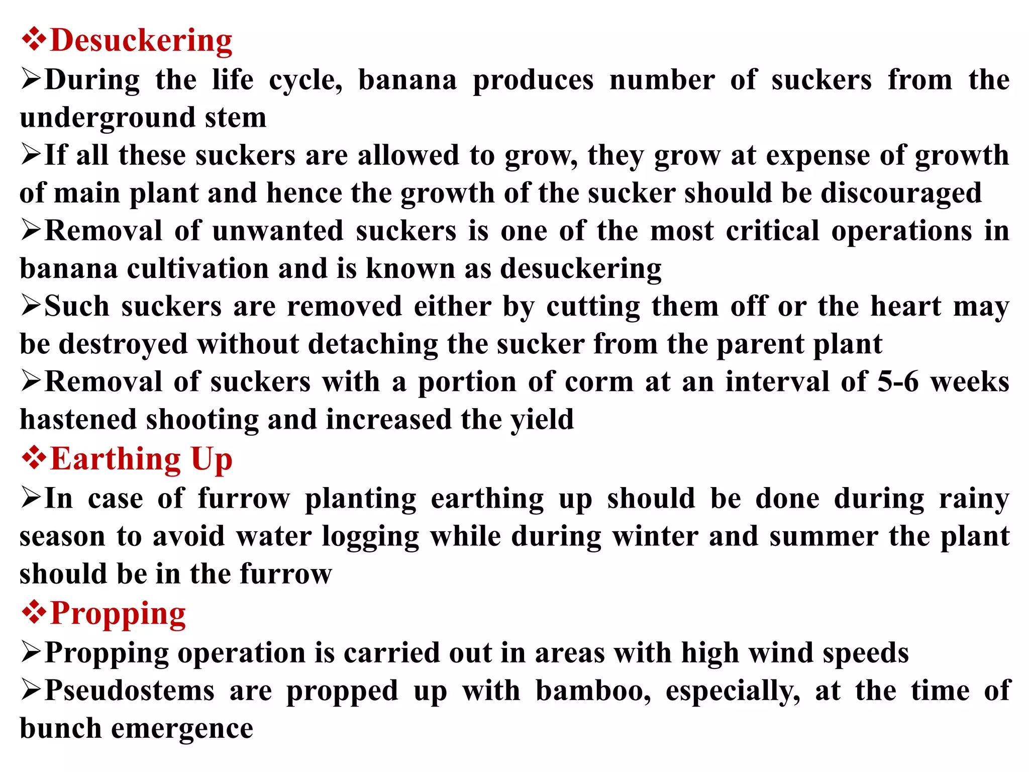 Slide 21