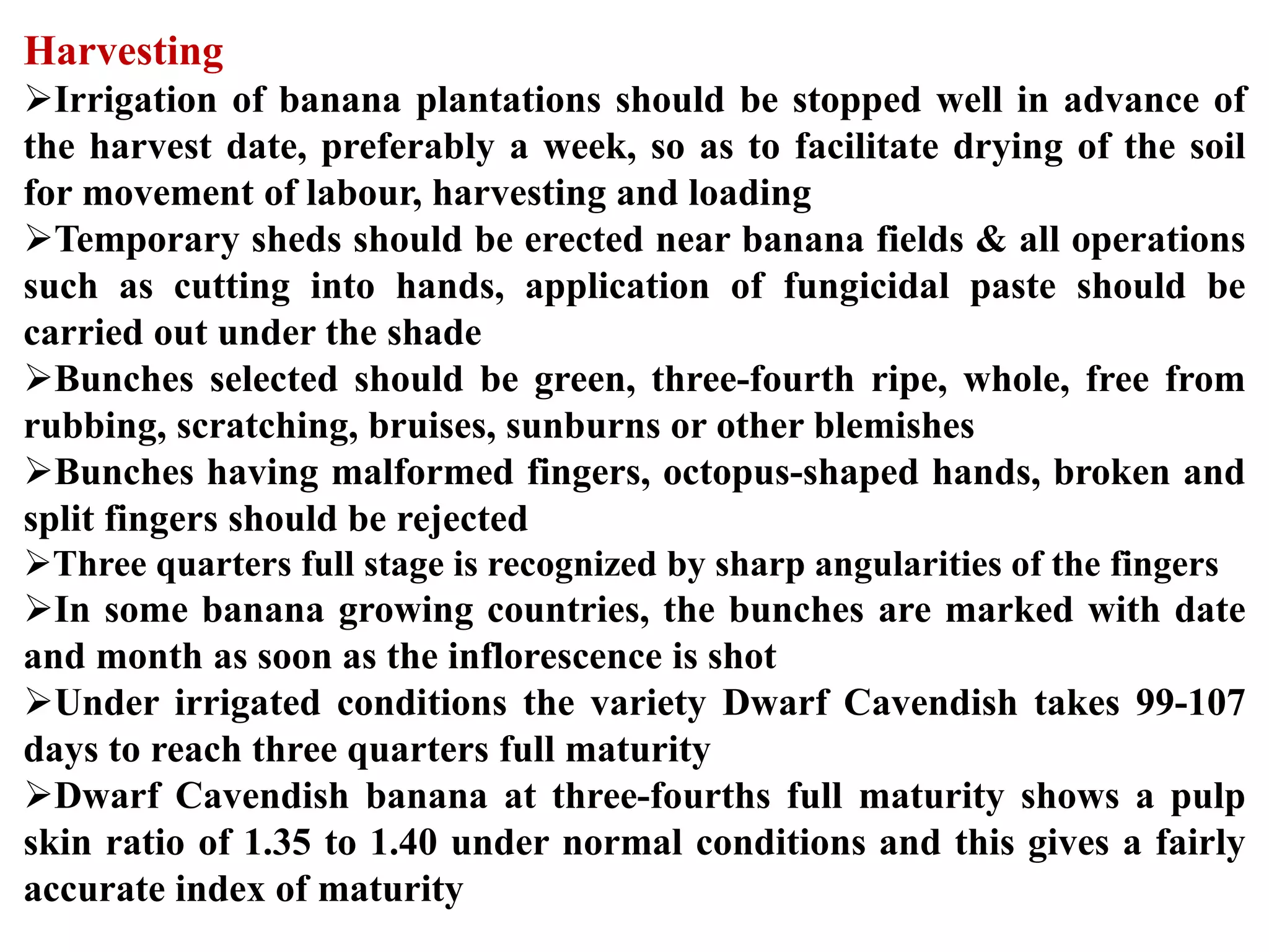 Slide 23