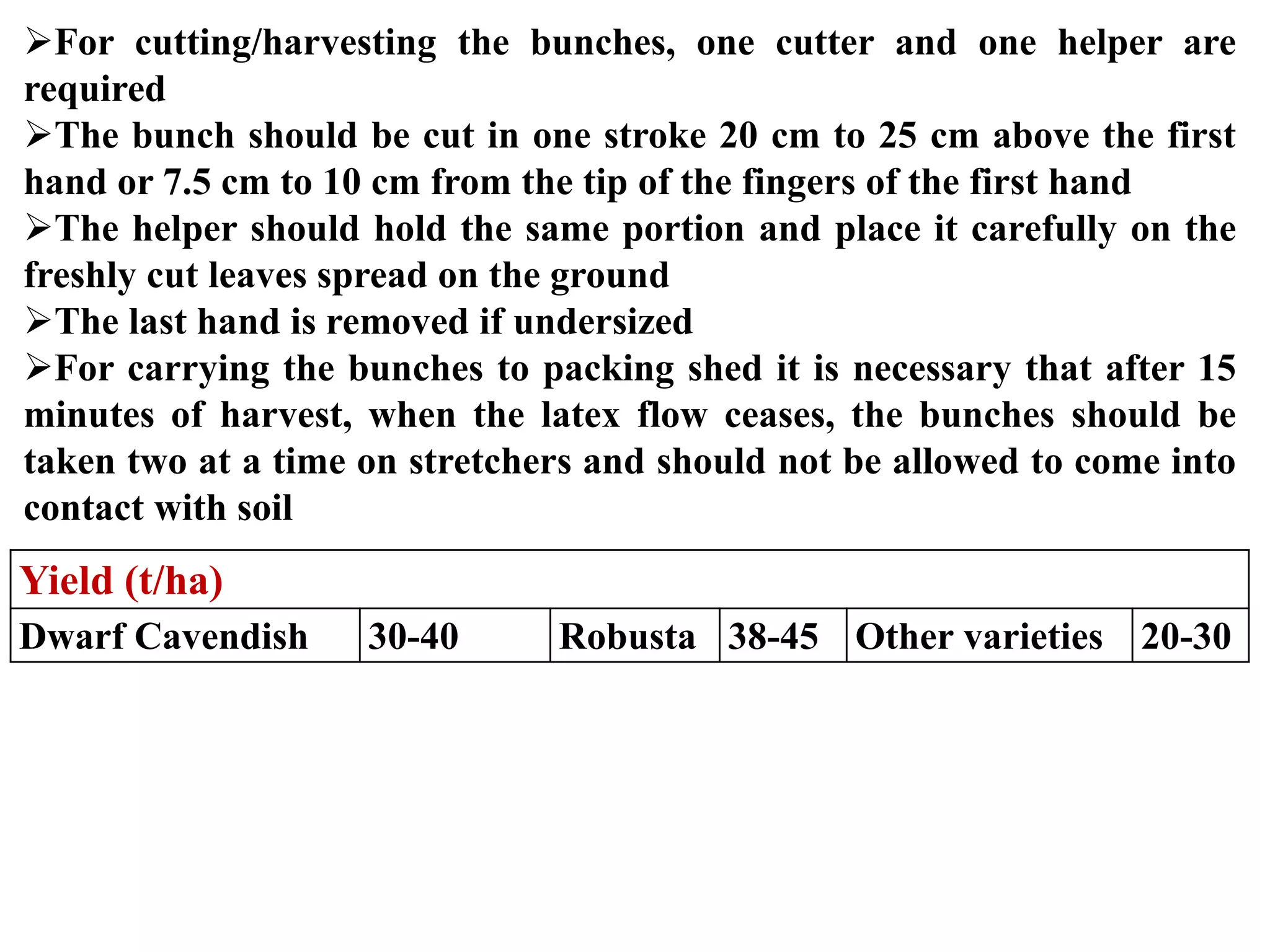 Slide 24