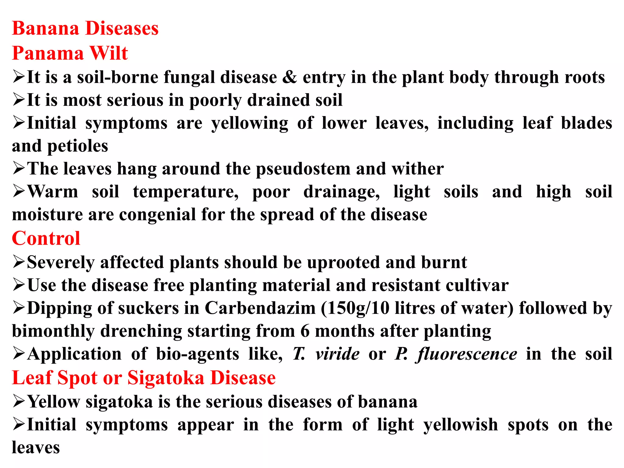 Slide 26