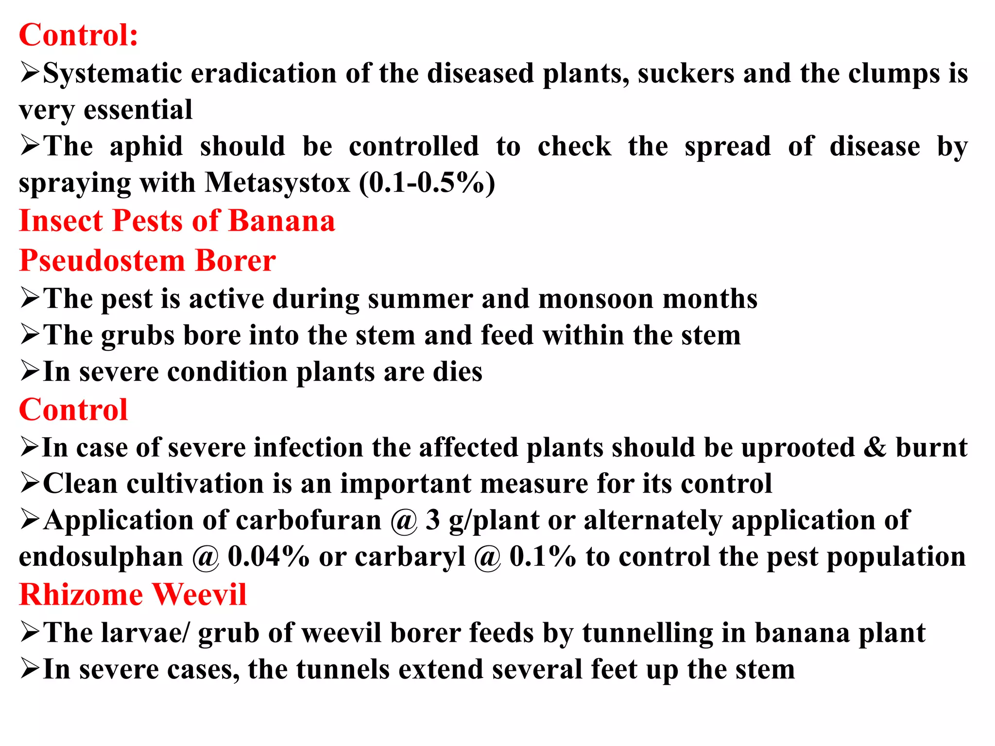 Slide 28