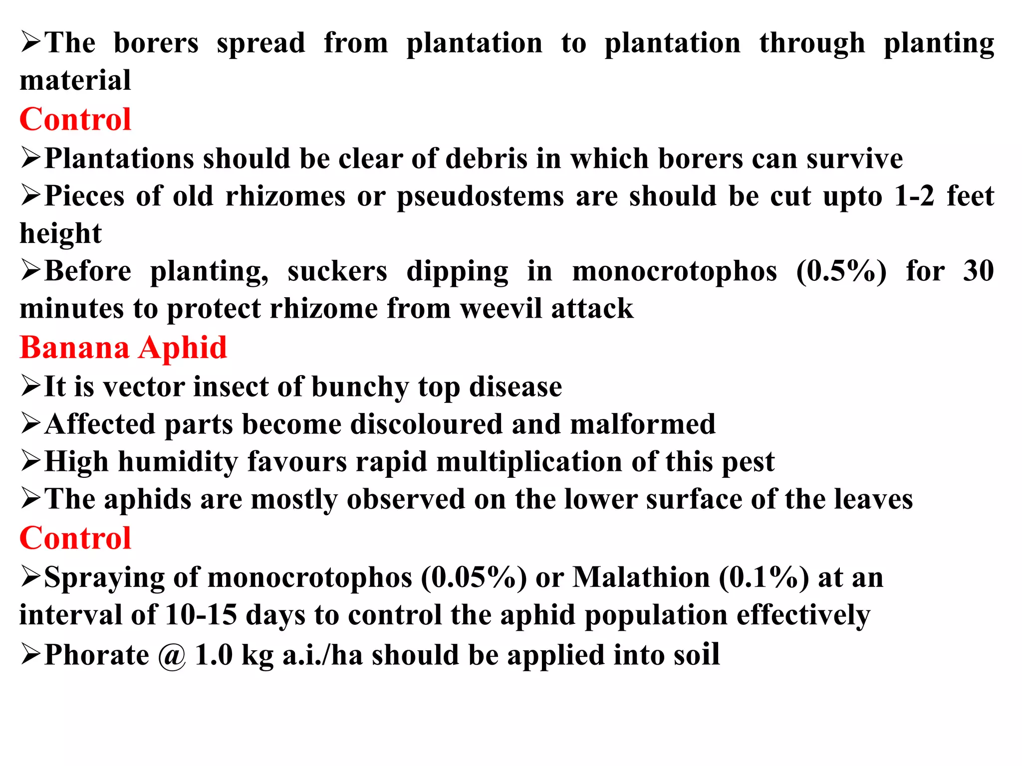 Slide 29