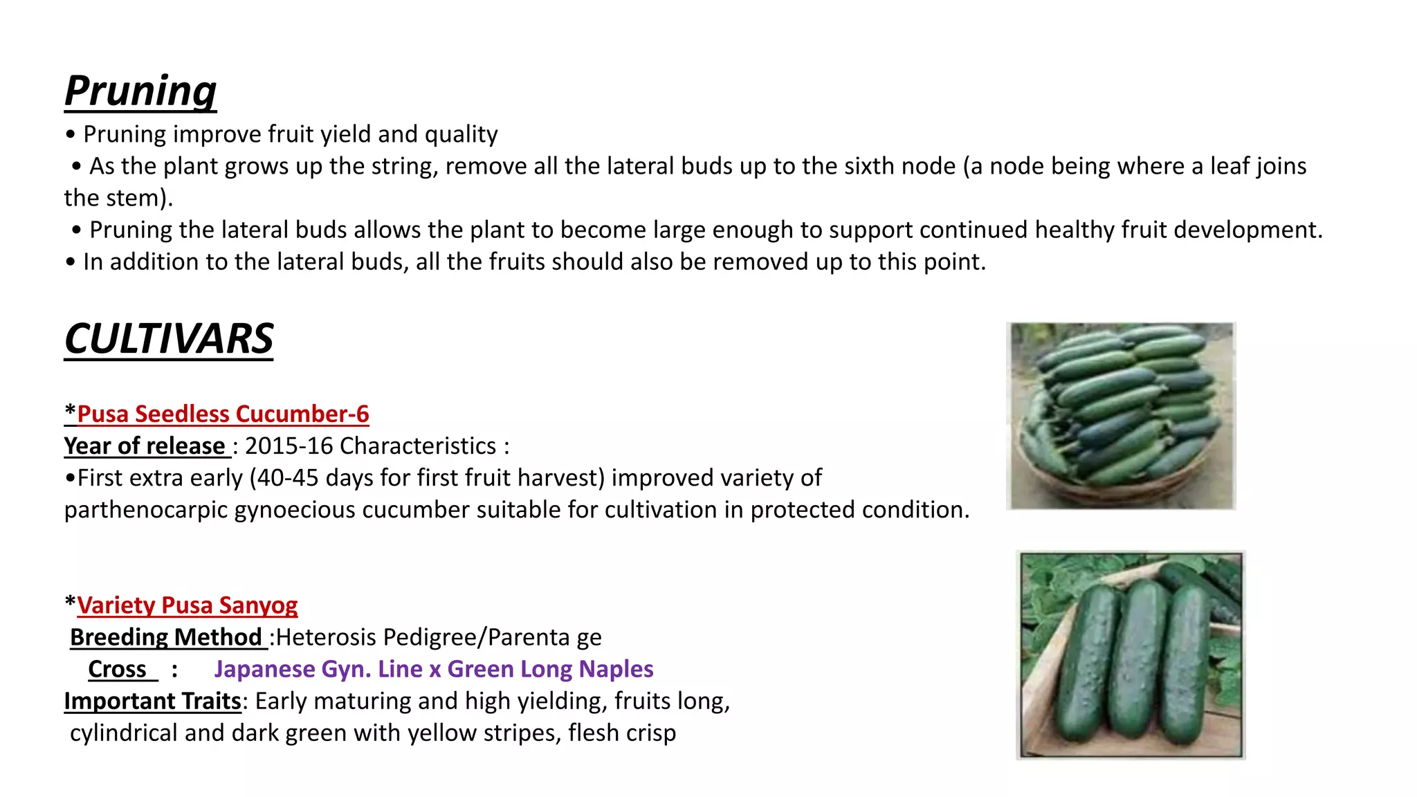 Slide 9