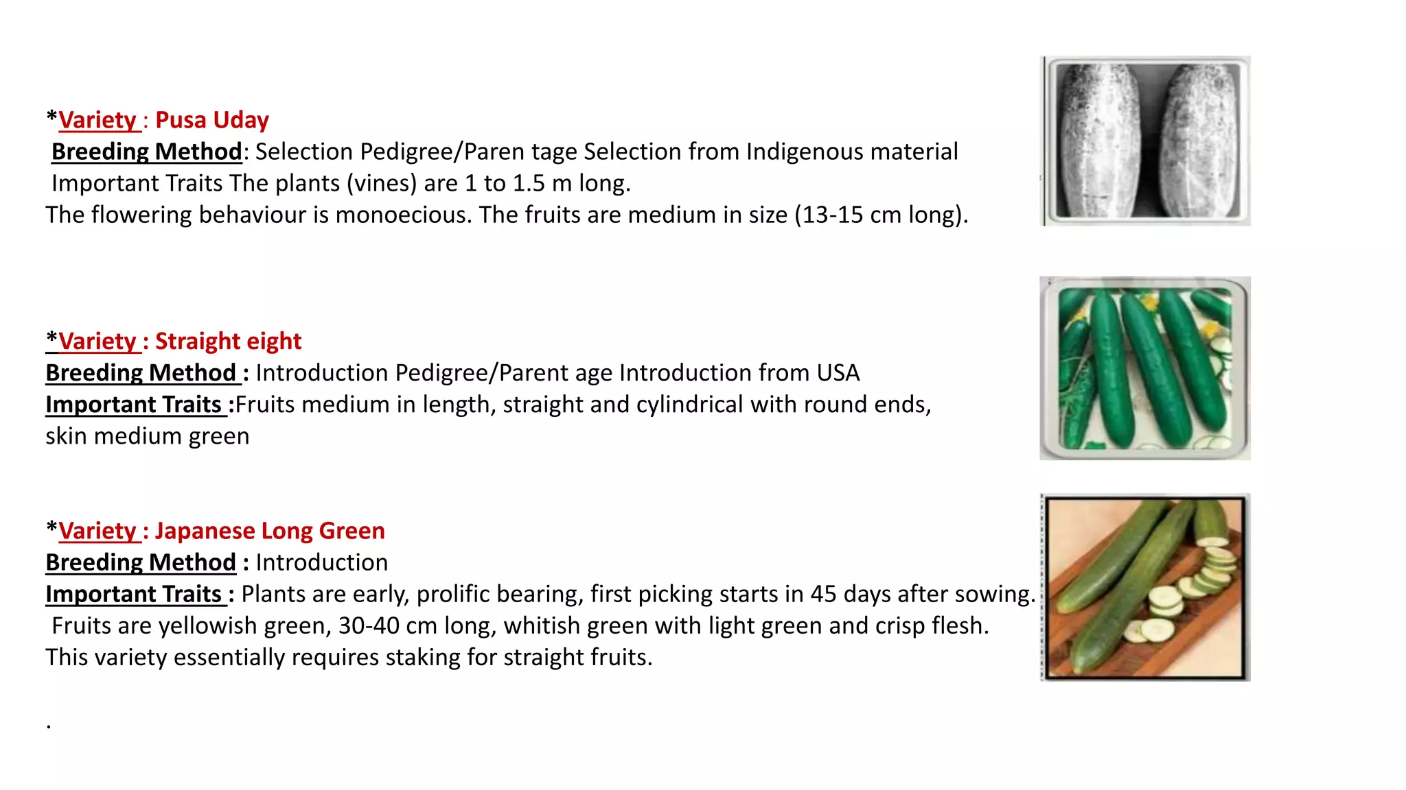 Slide 10