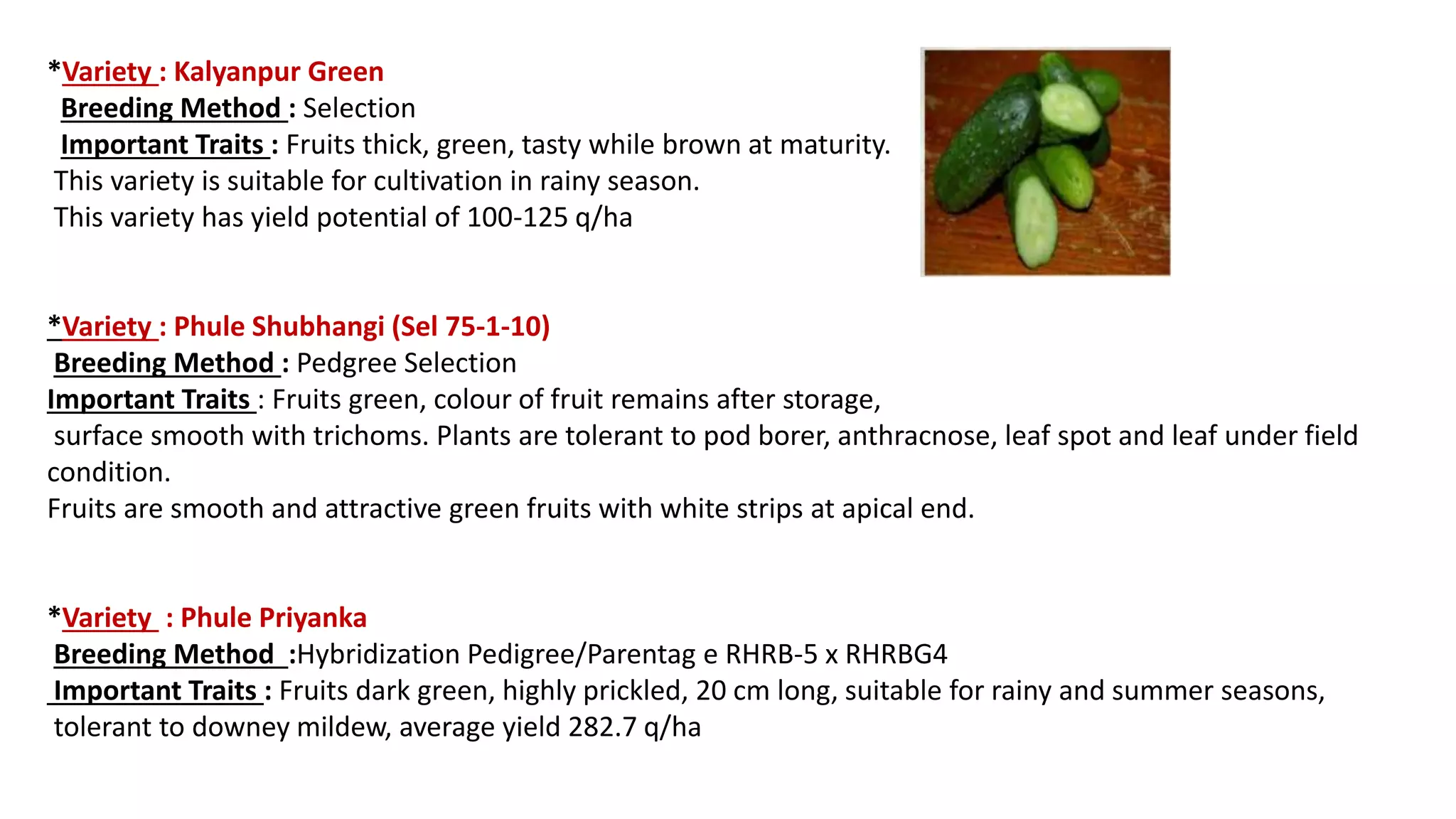 Slide 11