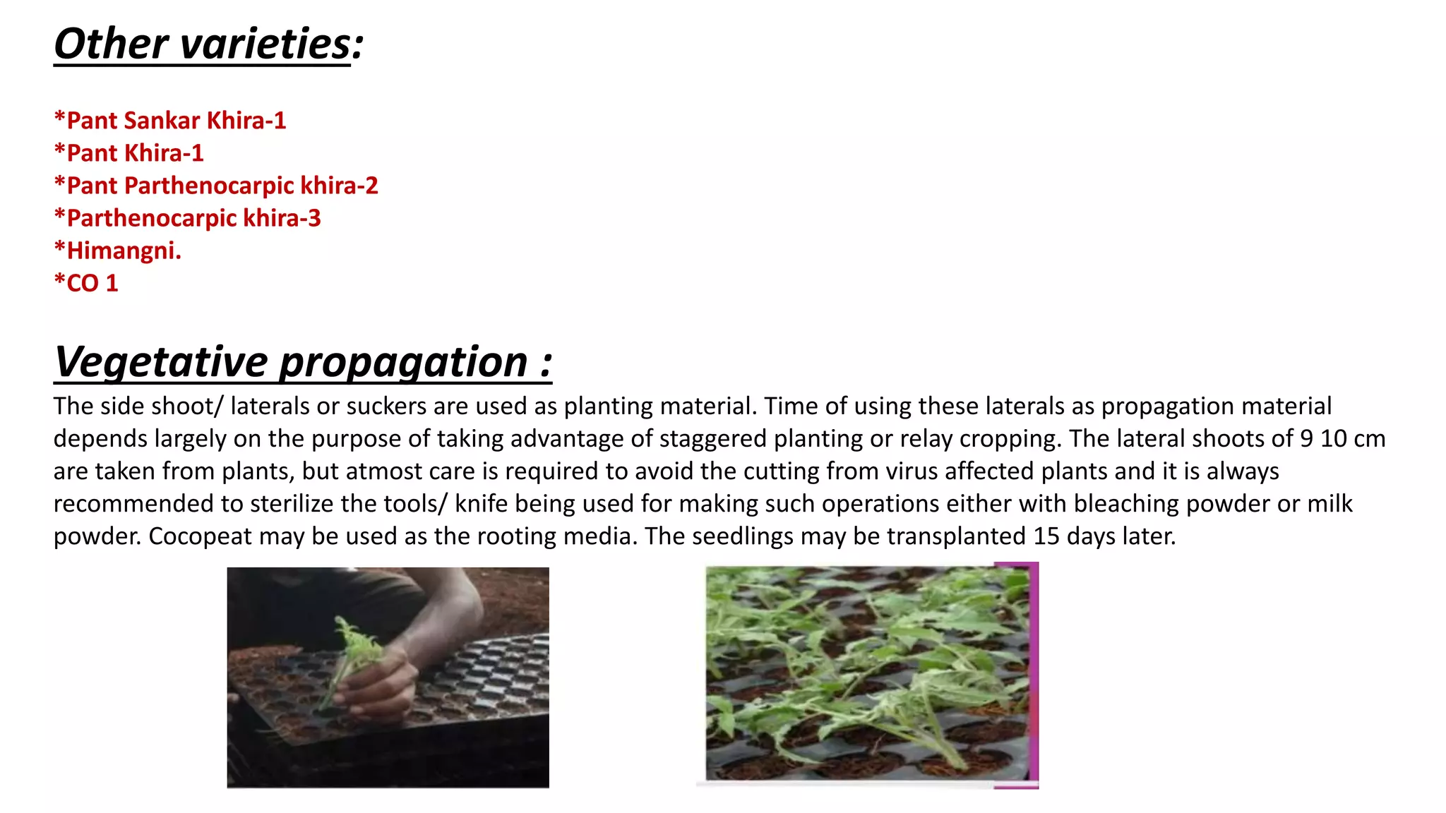 Slide 12