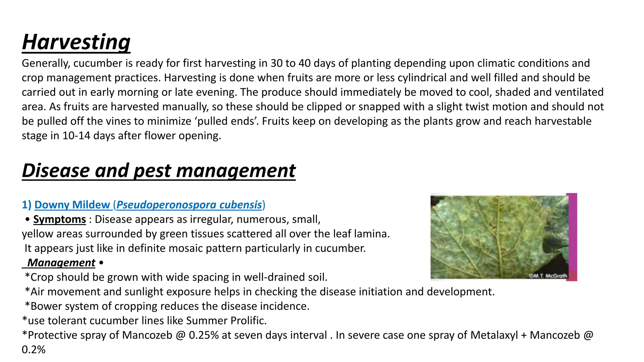 Slide 13