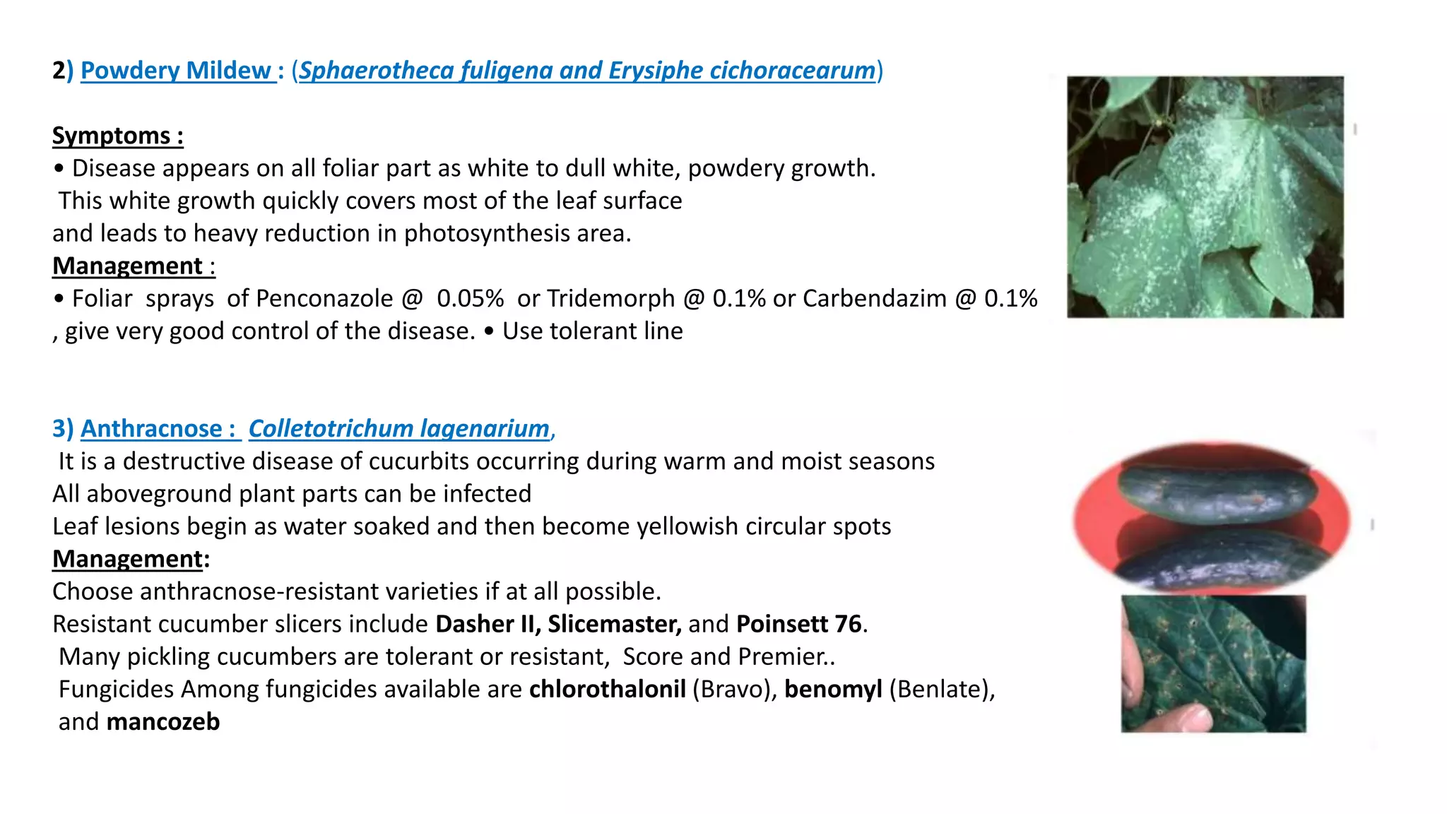 Slide 14