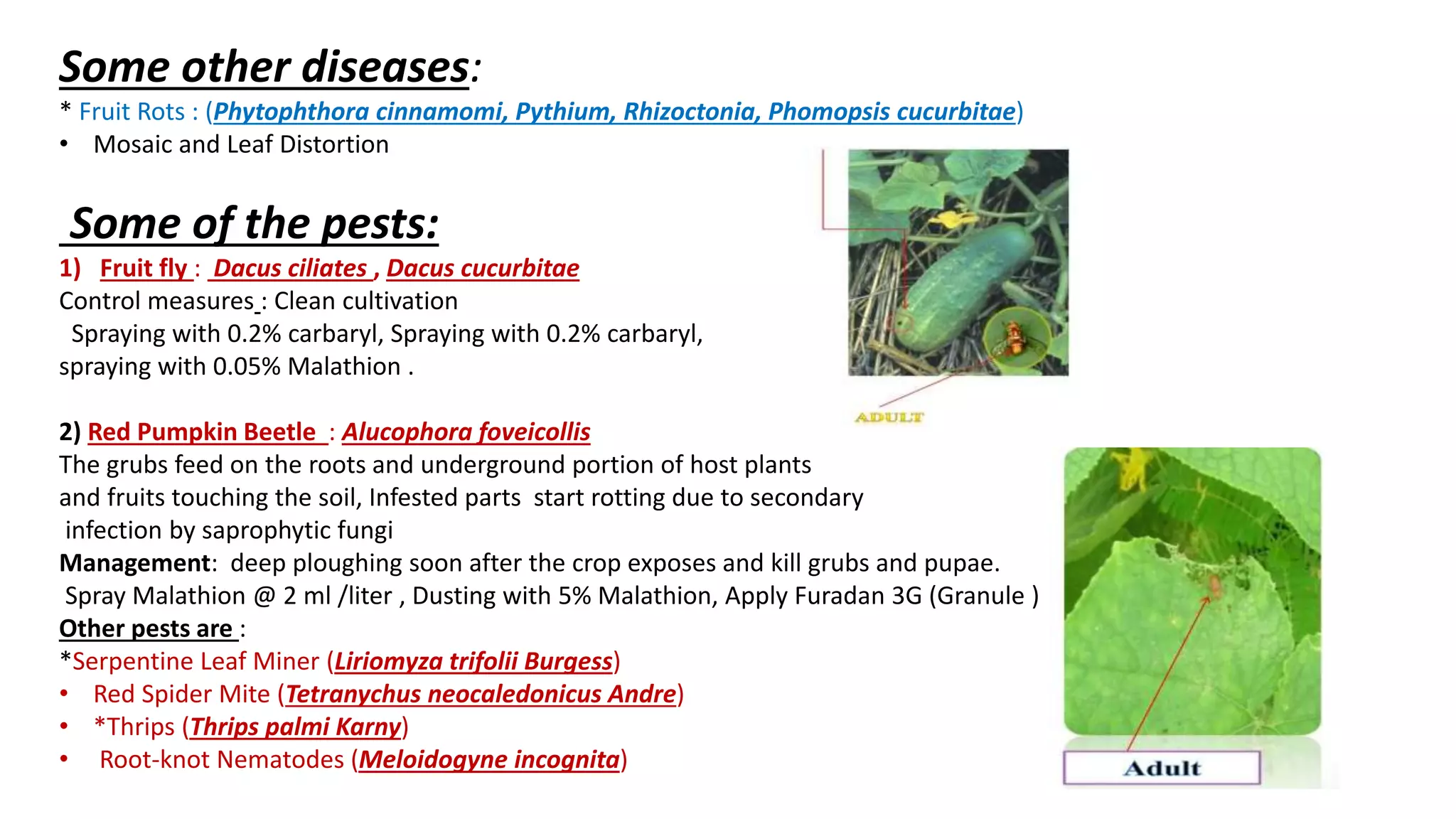 Slide 15