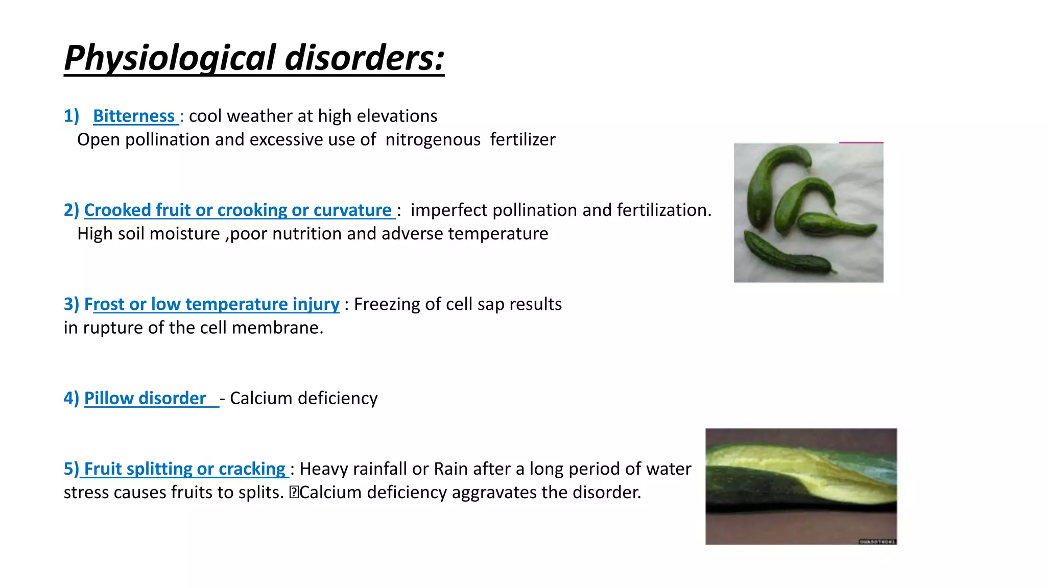 Slide 16