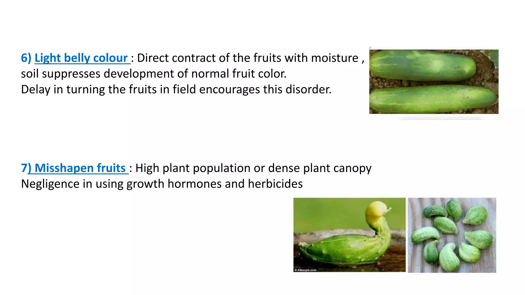 Slide 17