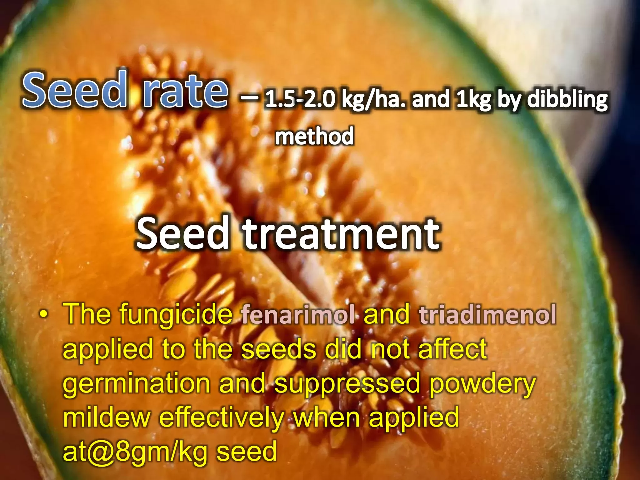 Slide 9