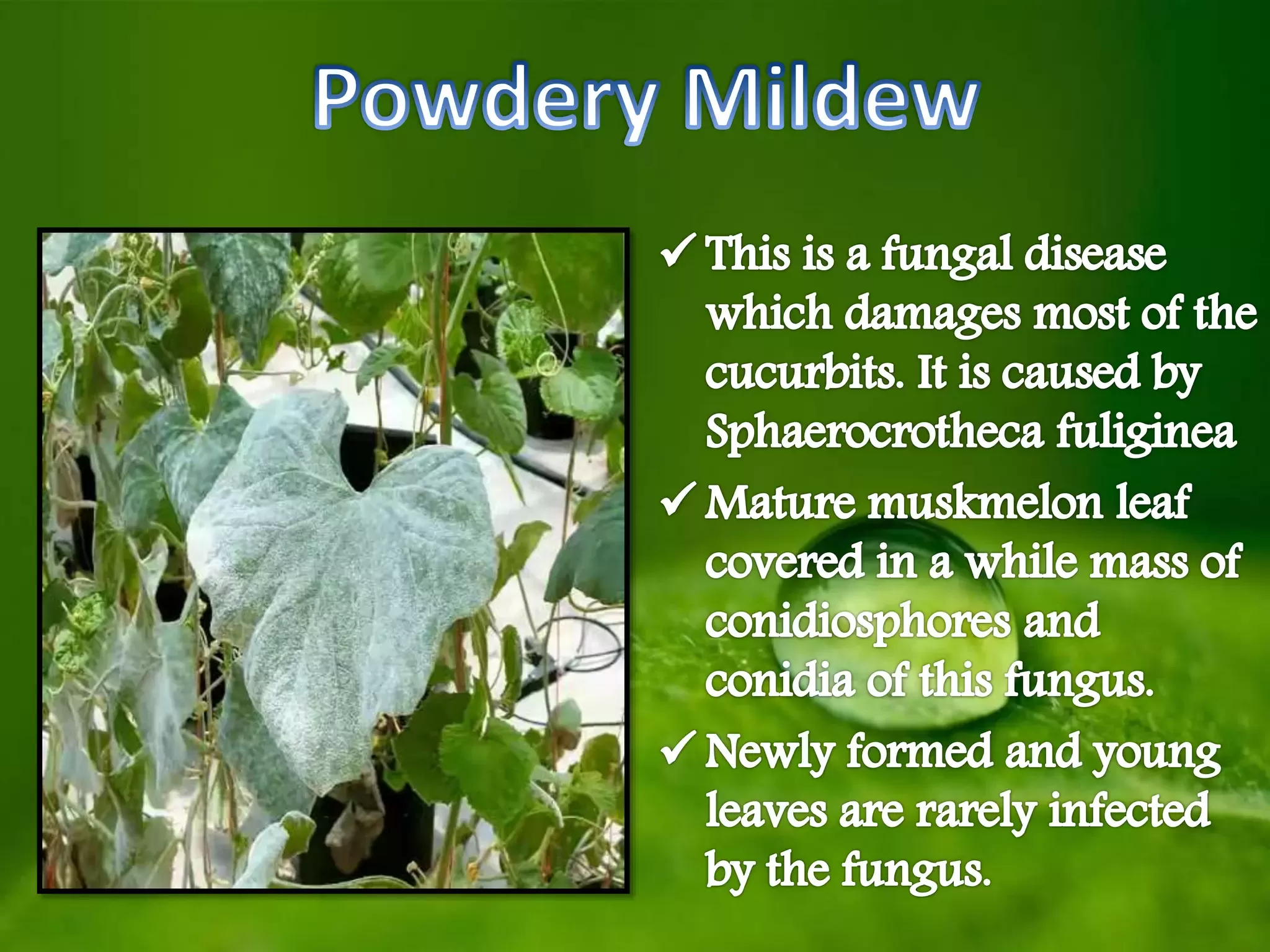 Slide 14