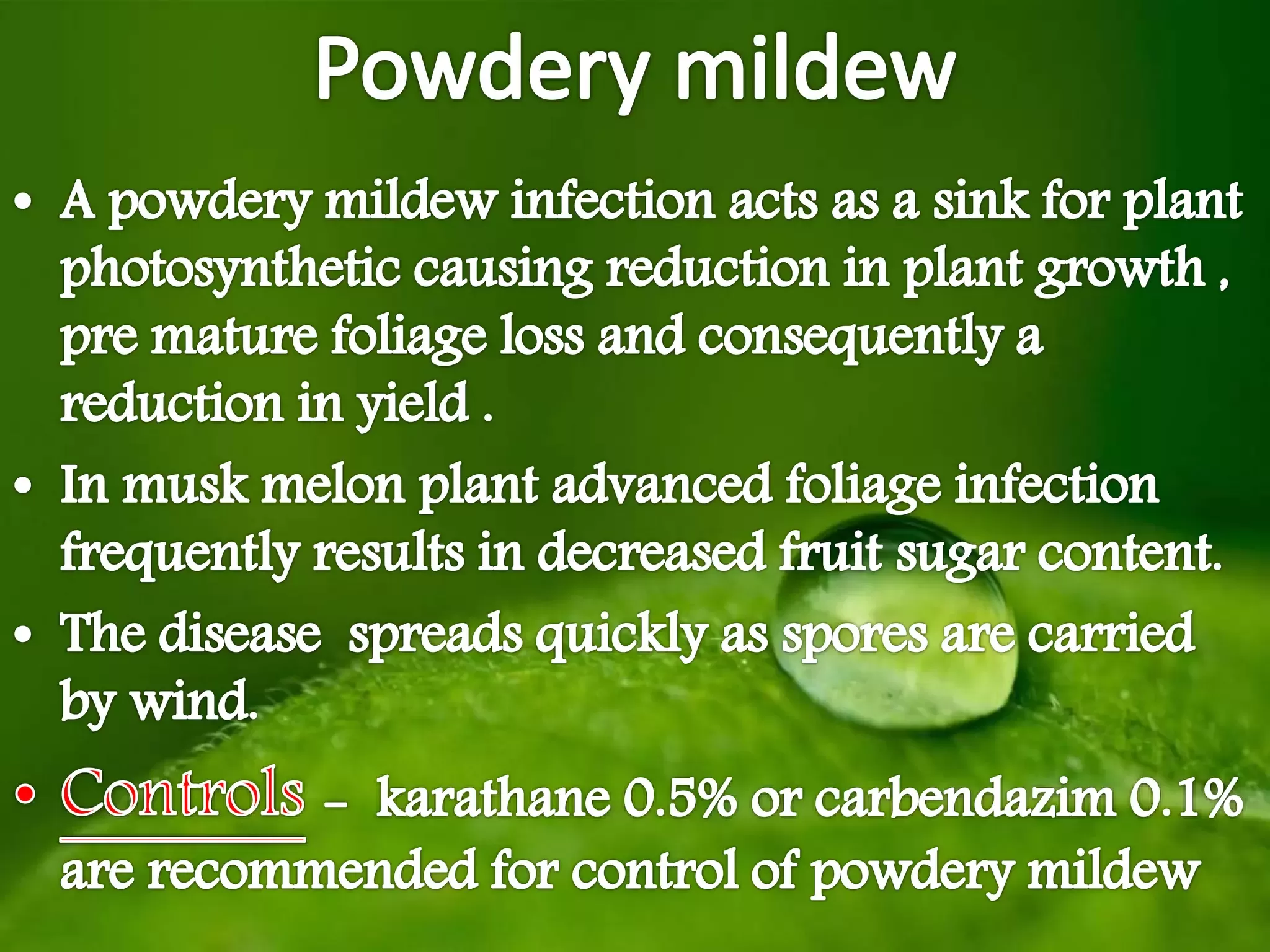 Slide 15