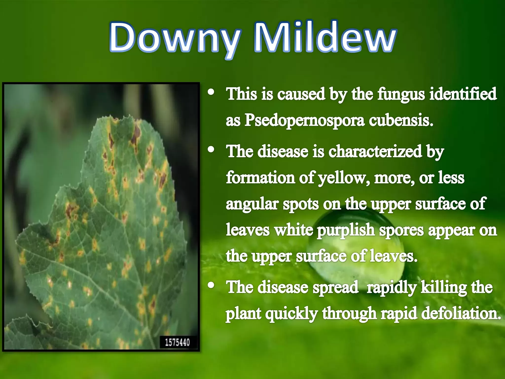 Slide 16