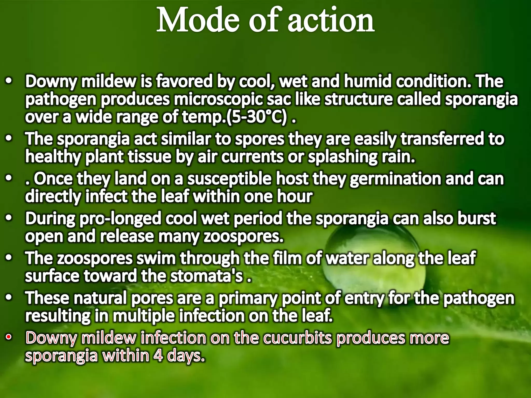 Slide 17