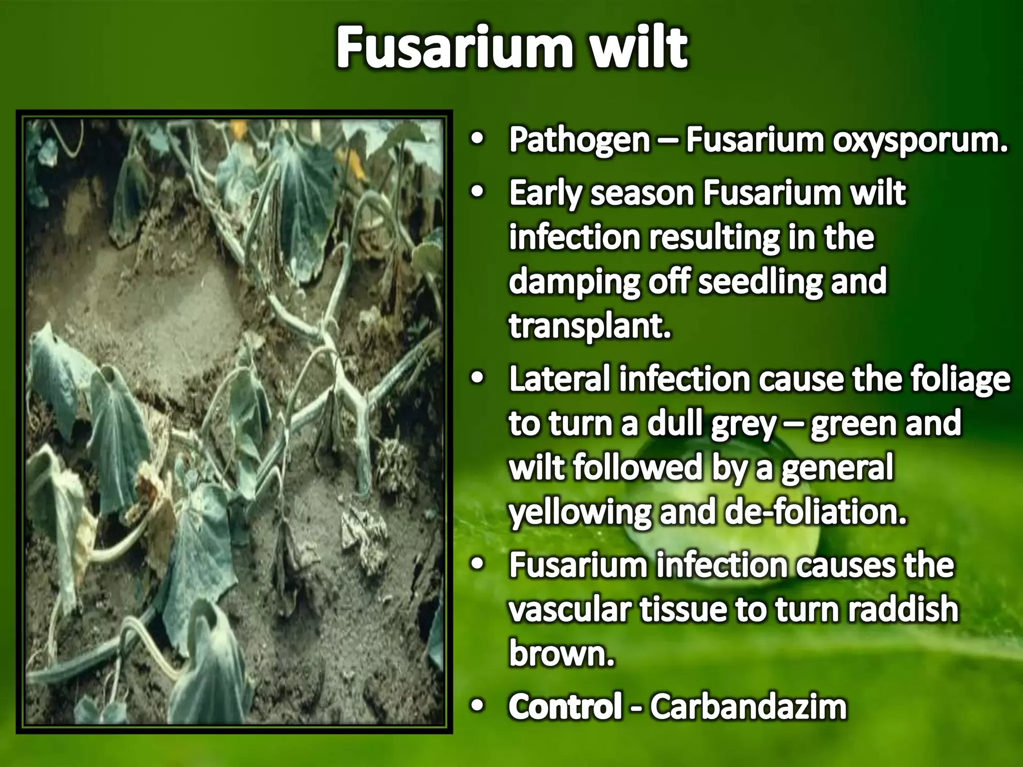 Slide 19