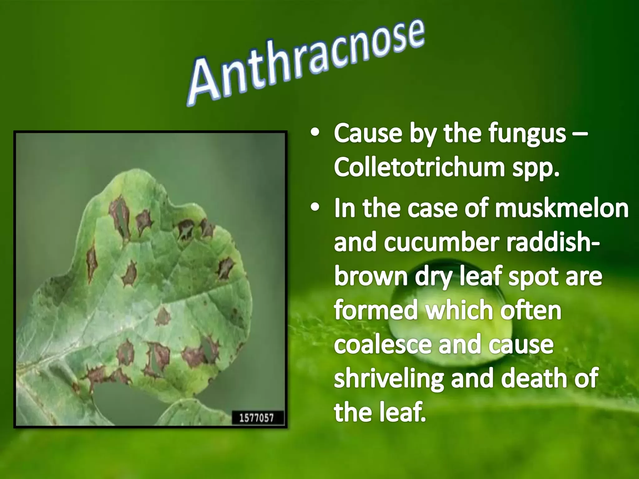 Slide 20