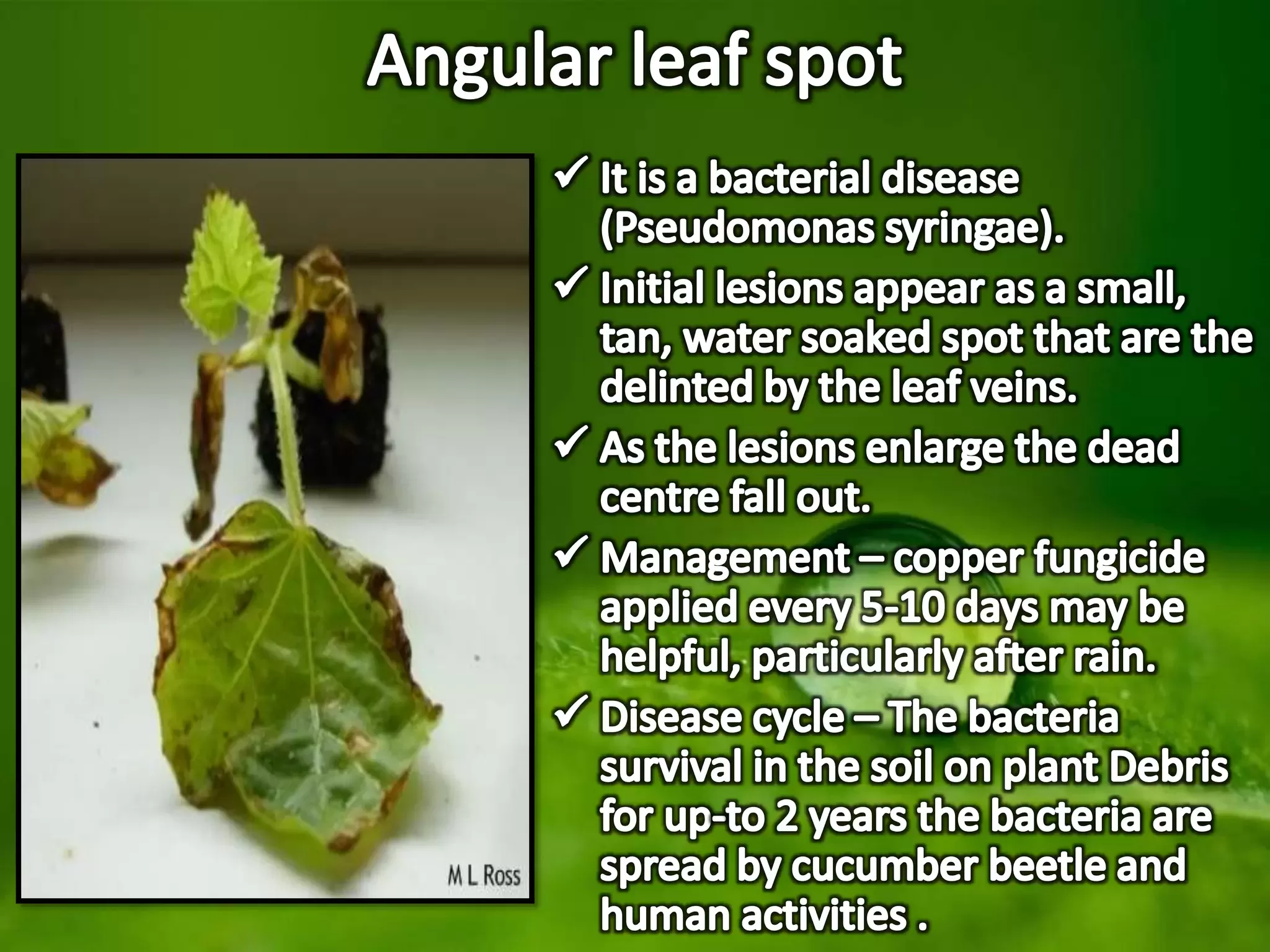 Slide 22