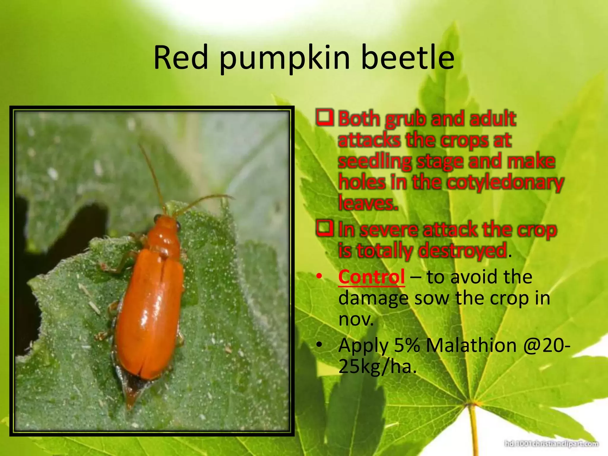 Slide 24