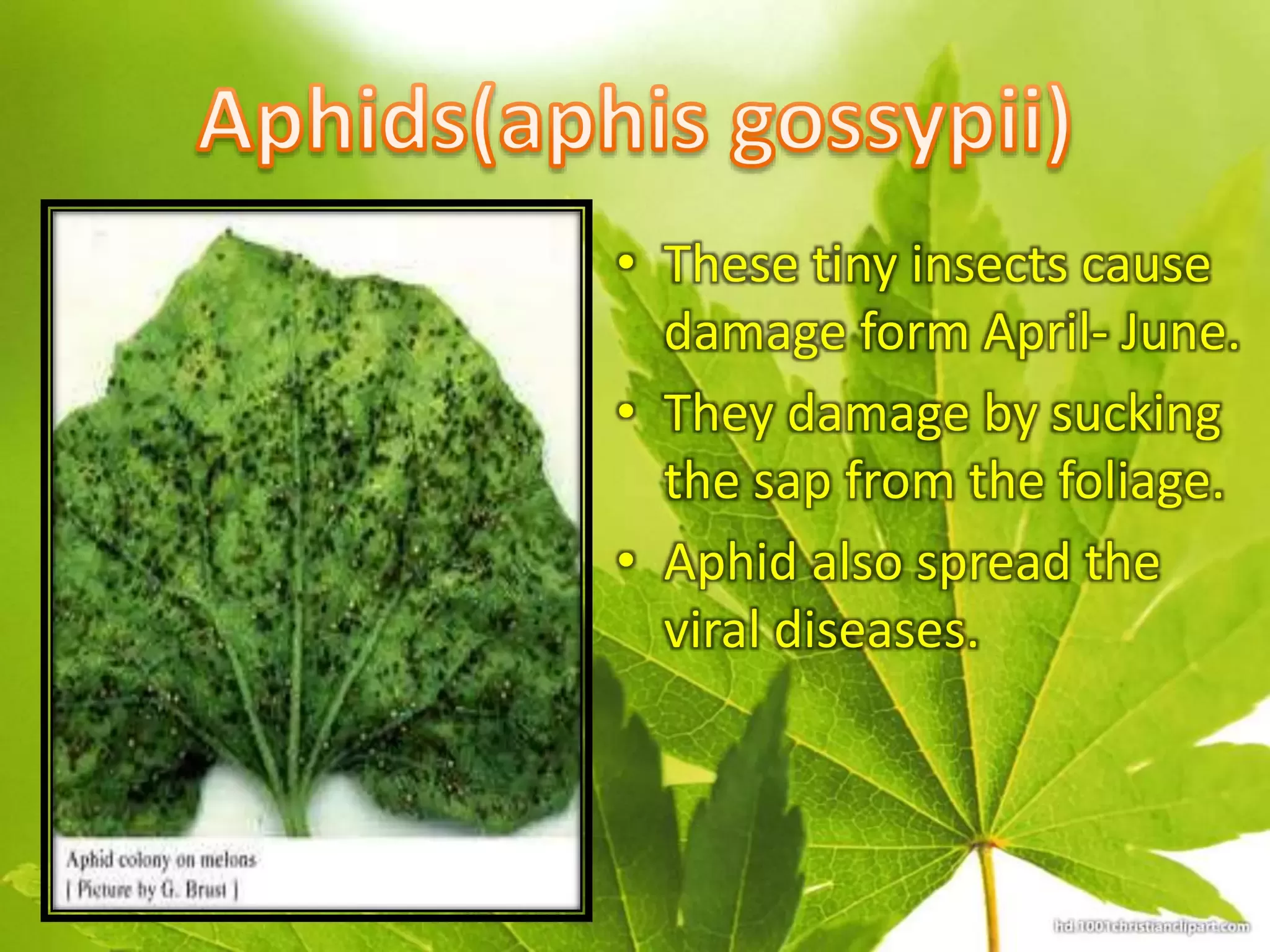 Slide 25