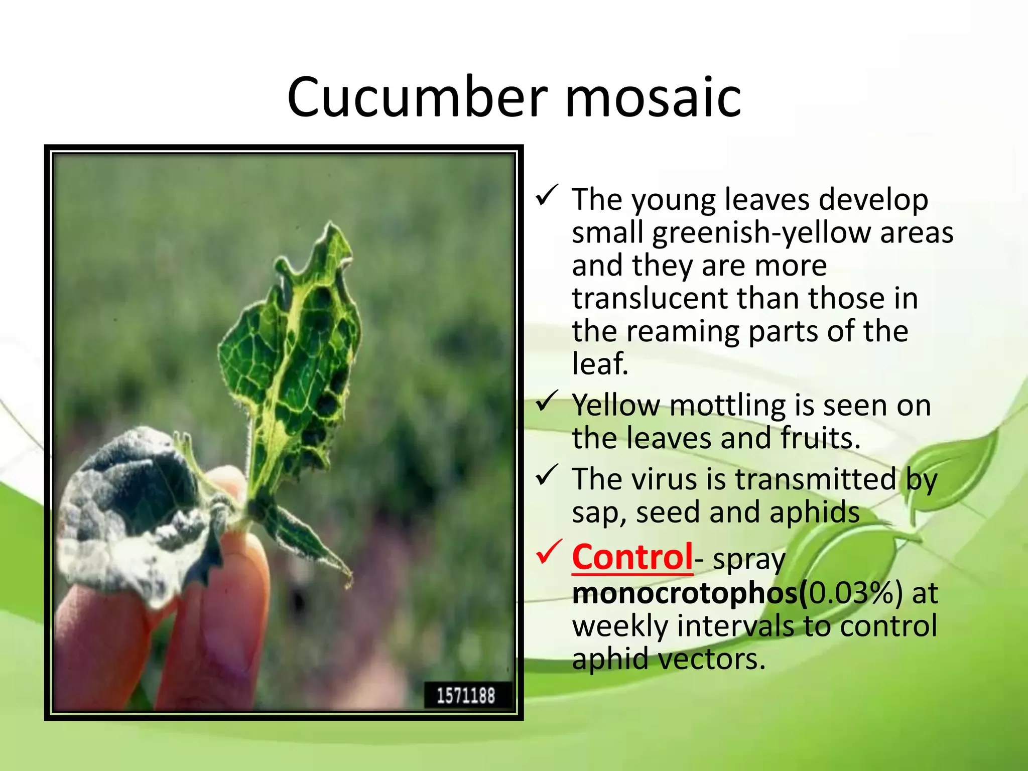 Slide 28