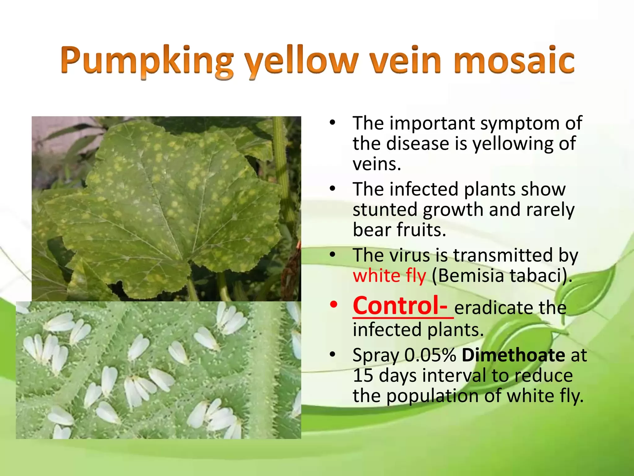 Slide 29