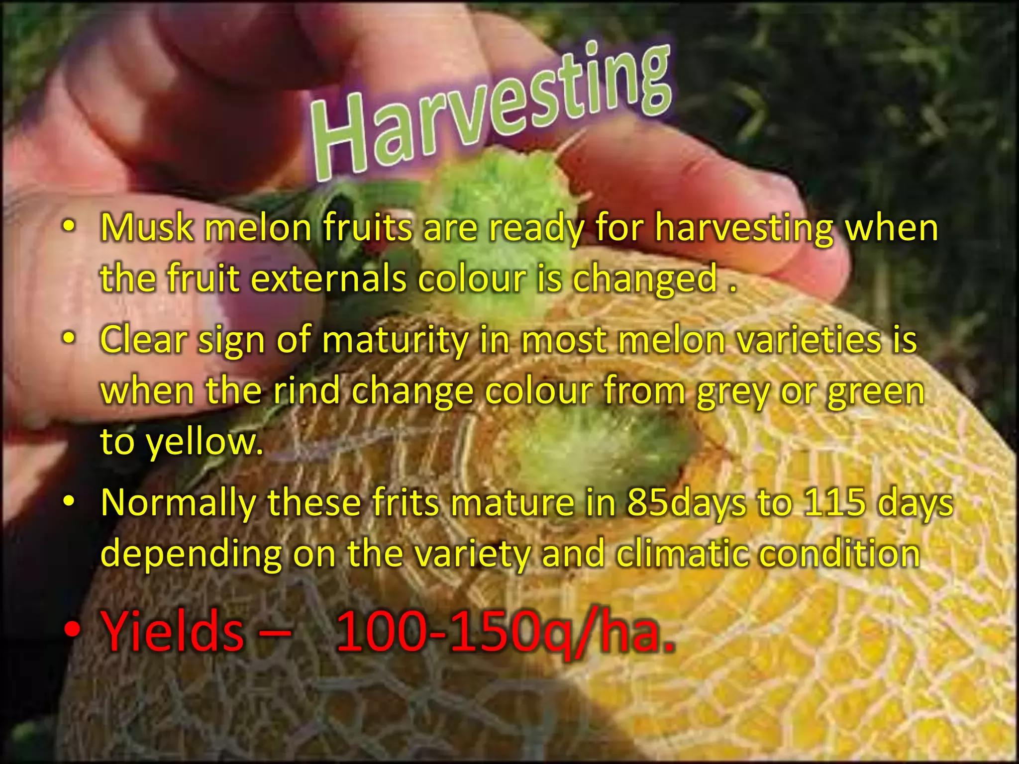 Slide 31