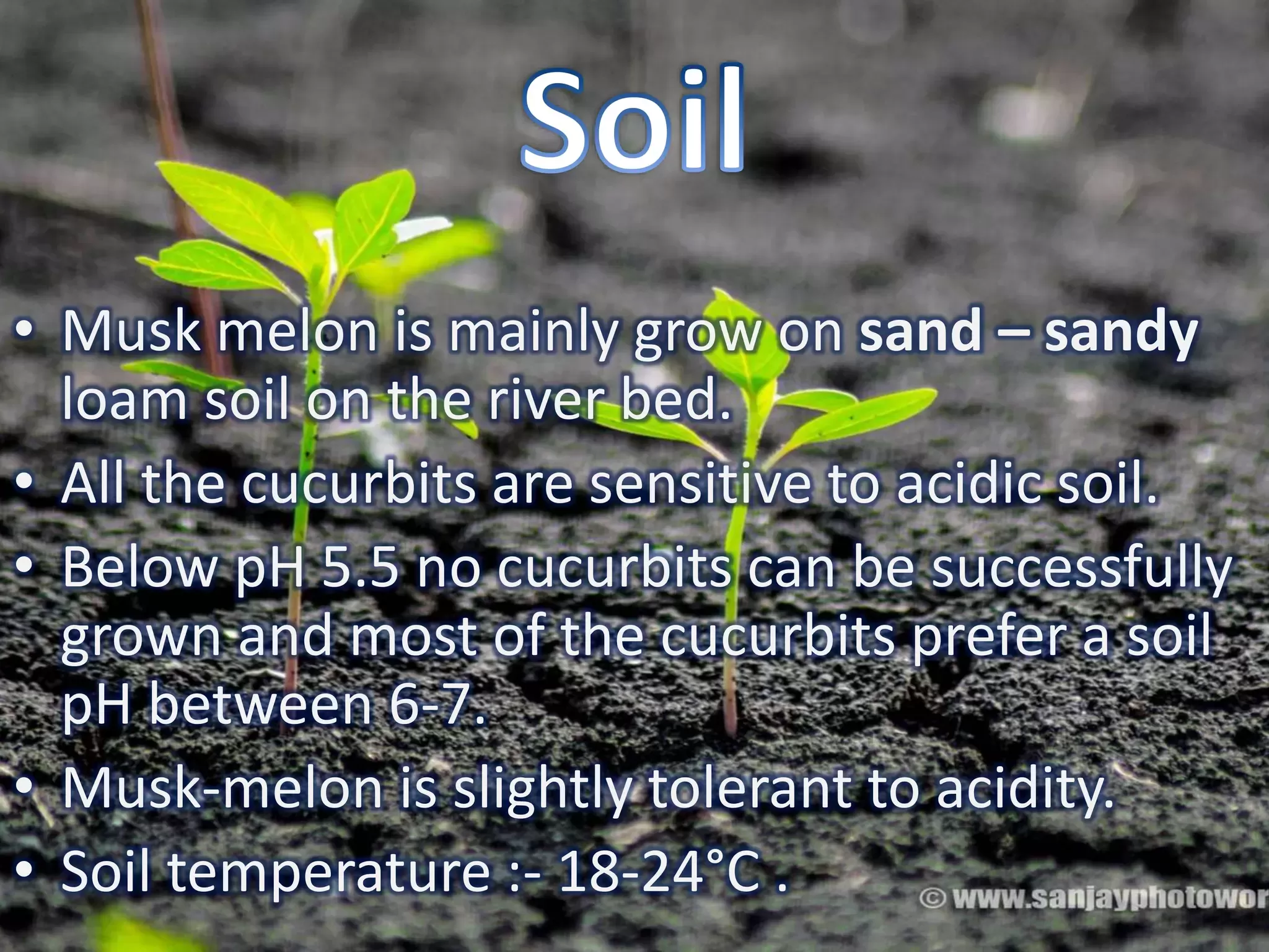 Slide 7