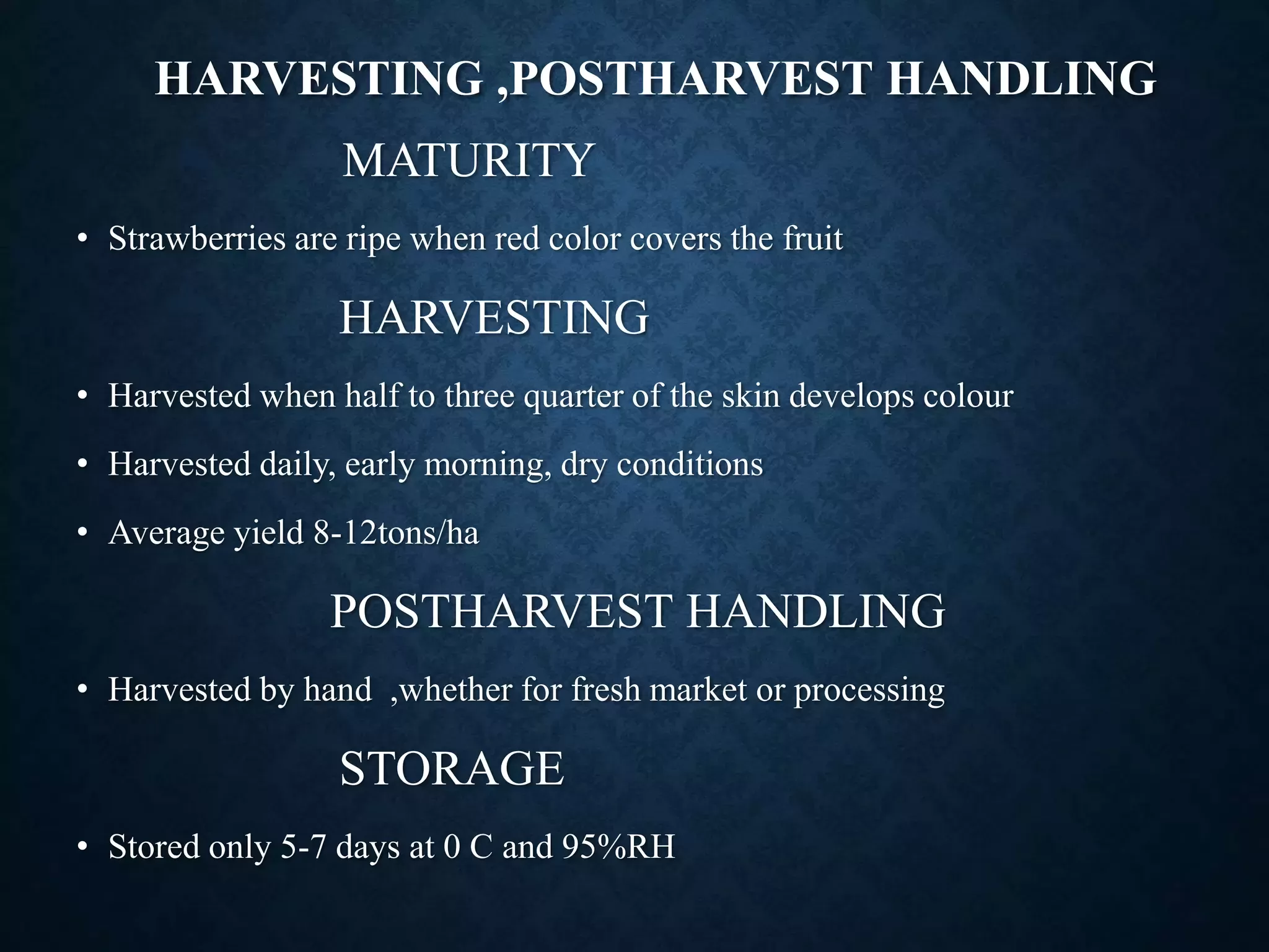 Slide 9