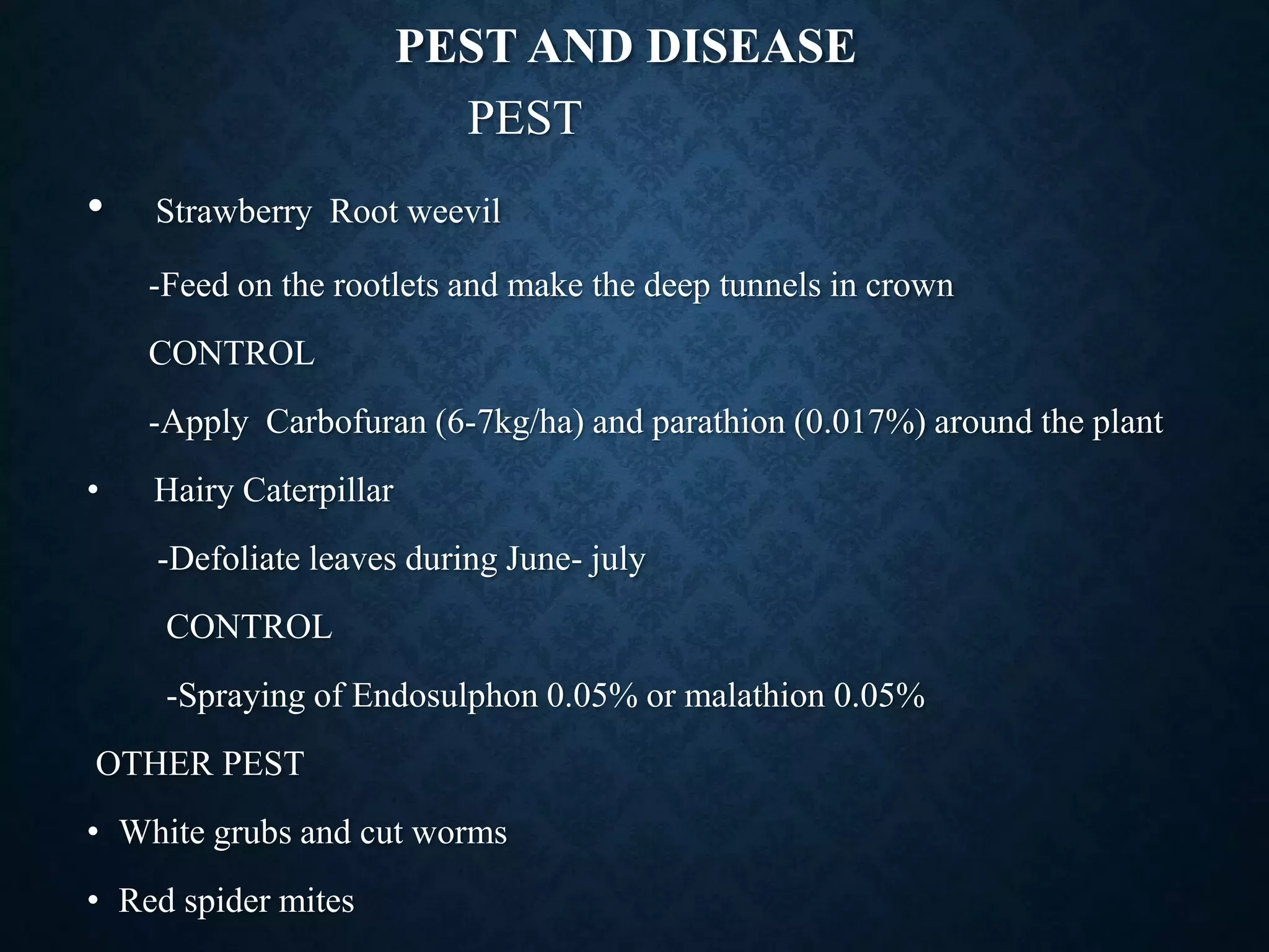 Slide 10