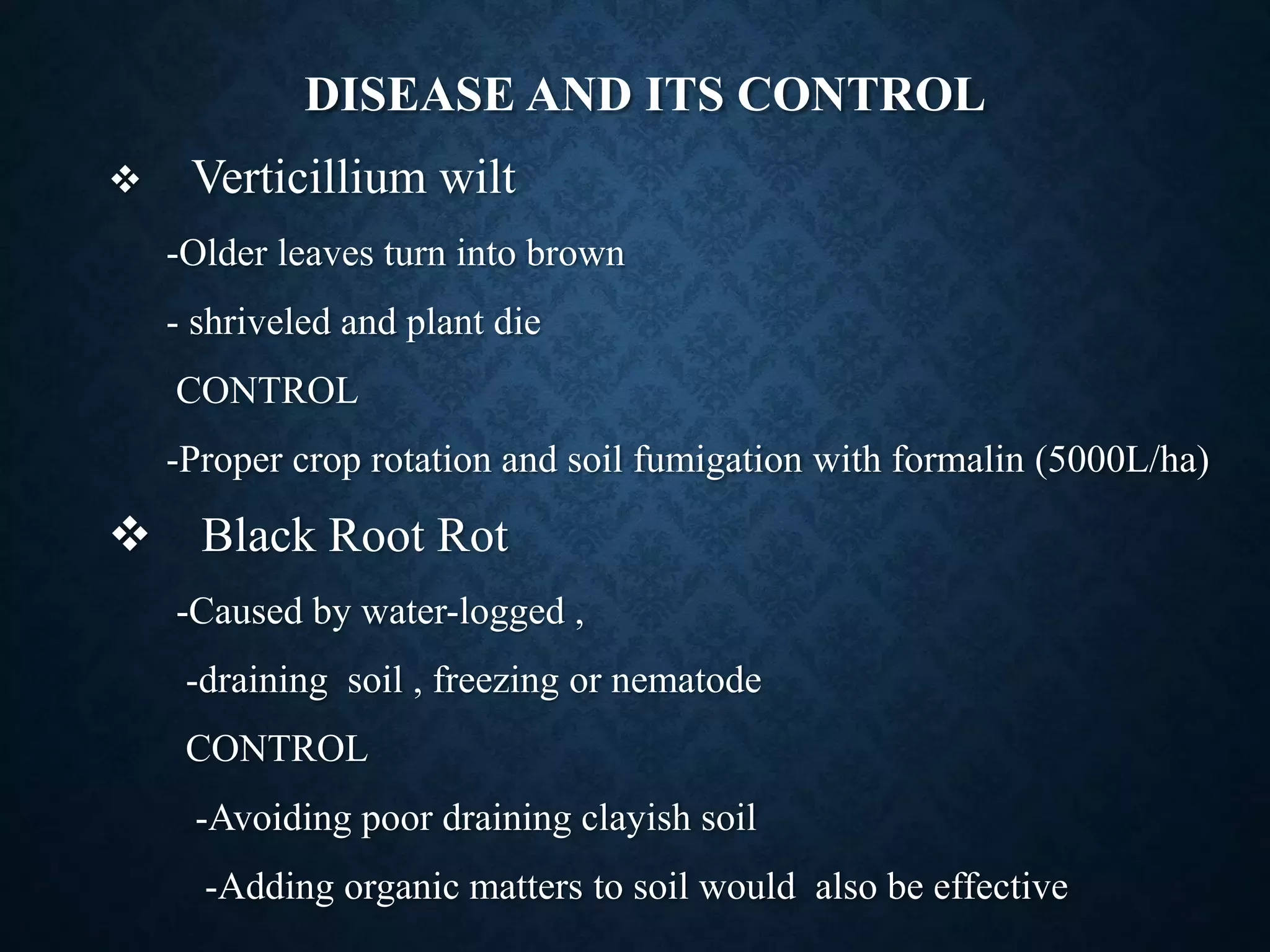 Slide 11