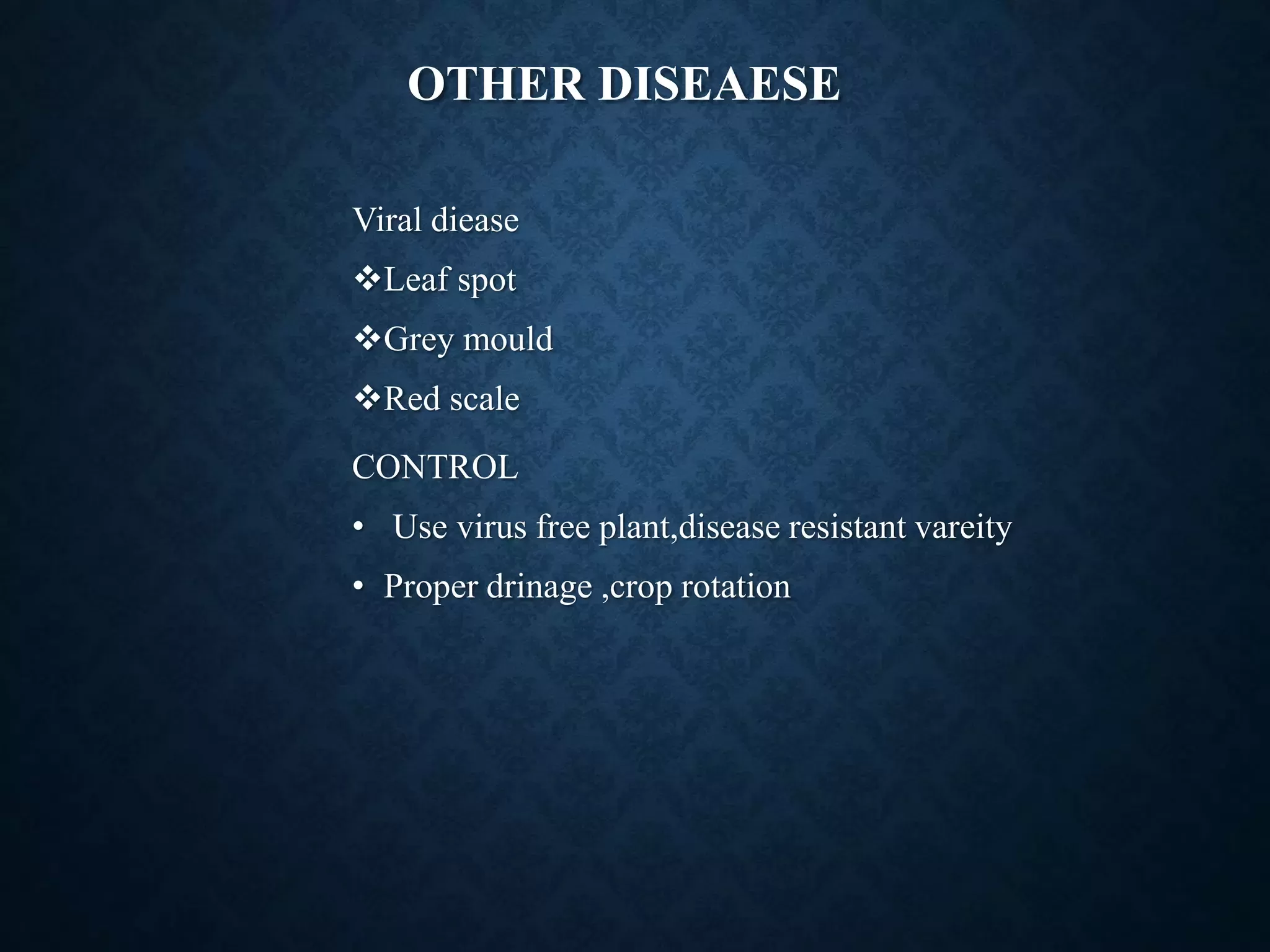 Slide 12