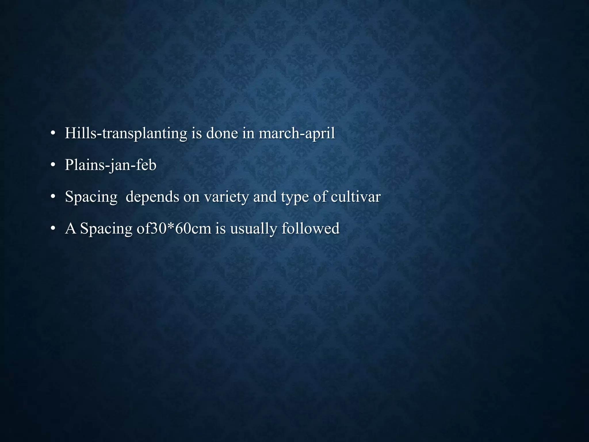 Slide 5