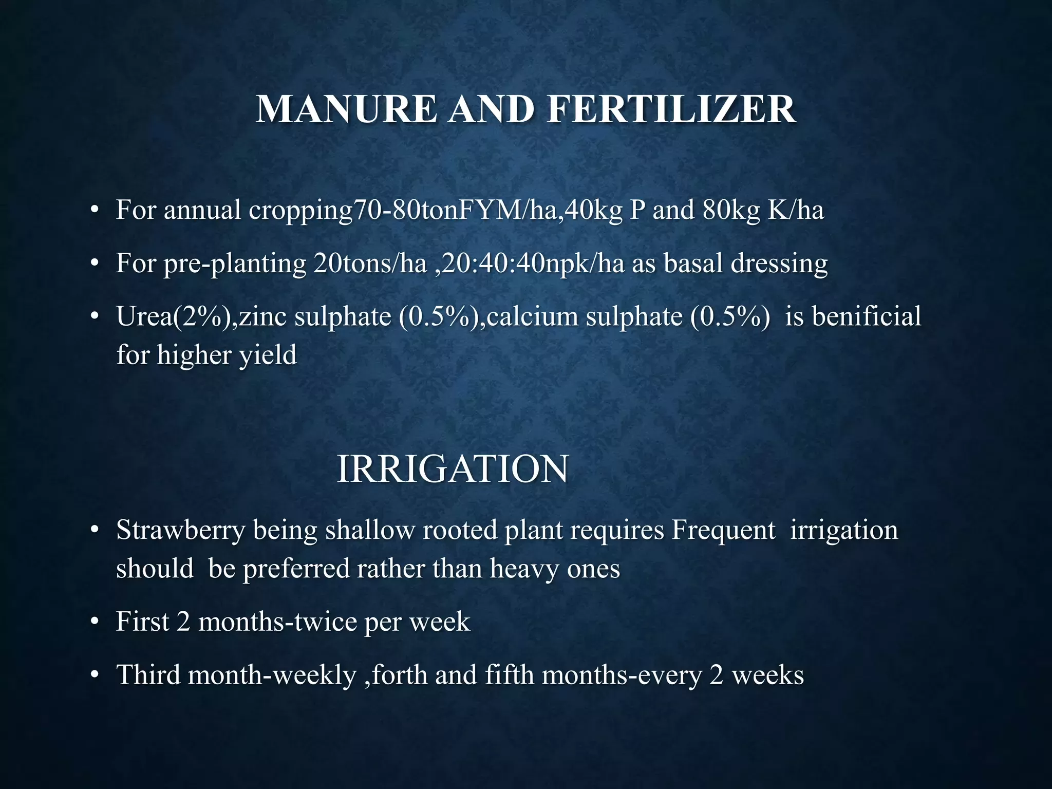 Slide 6