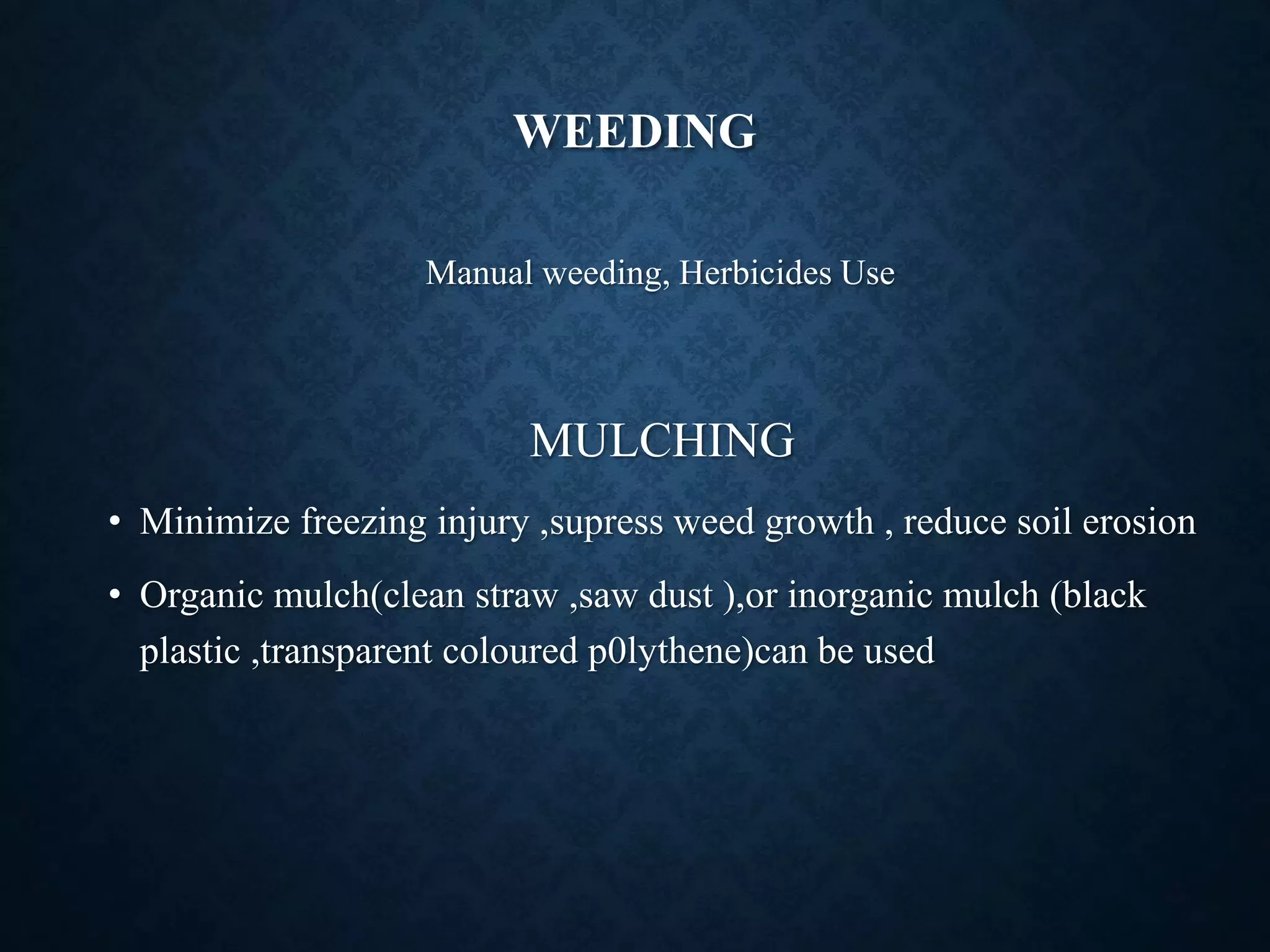 Slide 7
