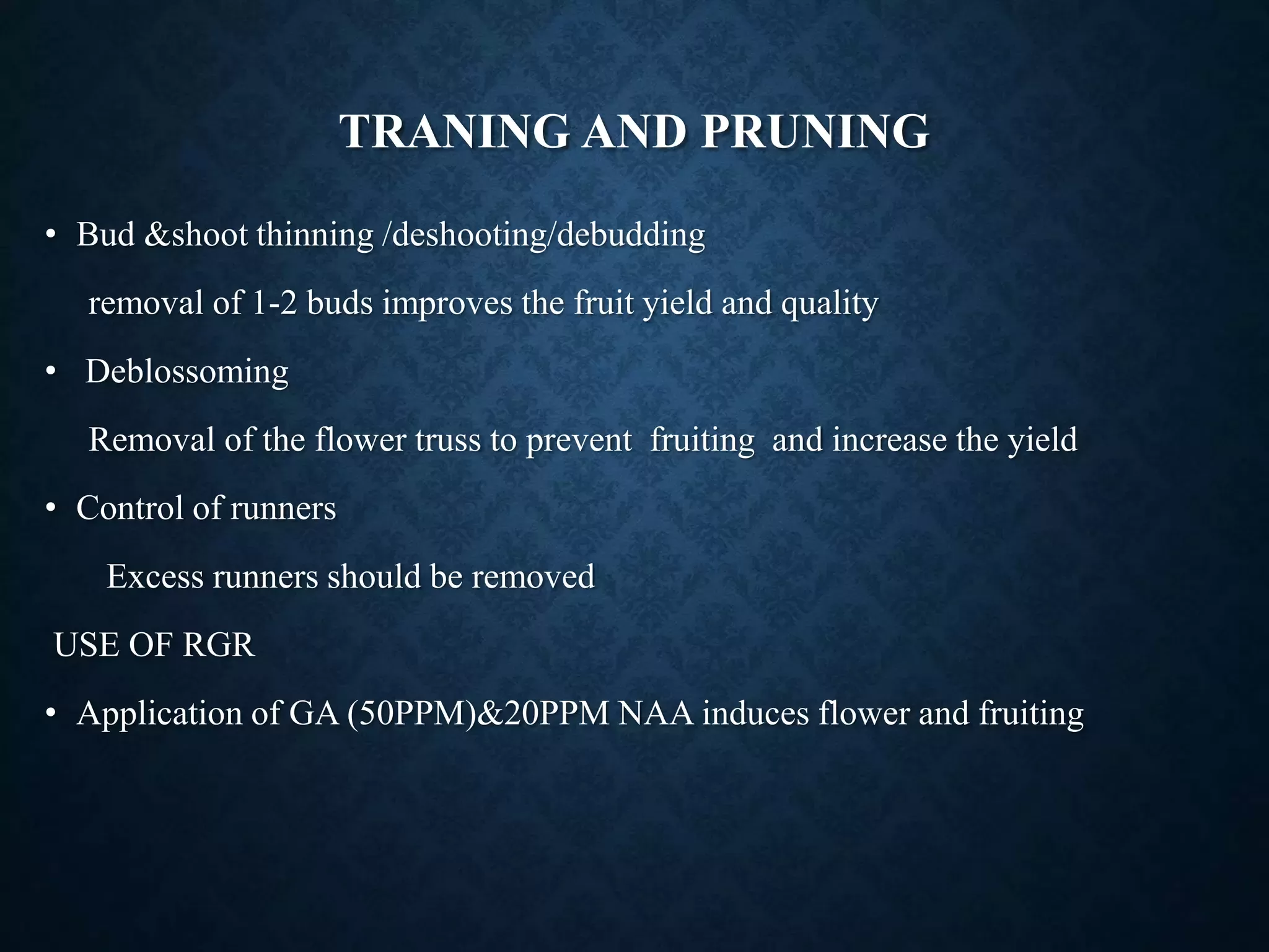Slide 8
