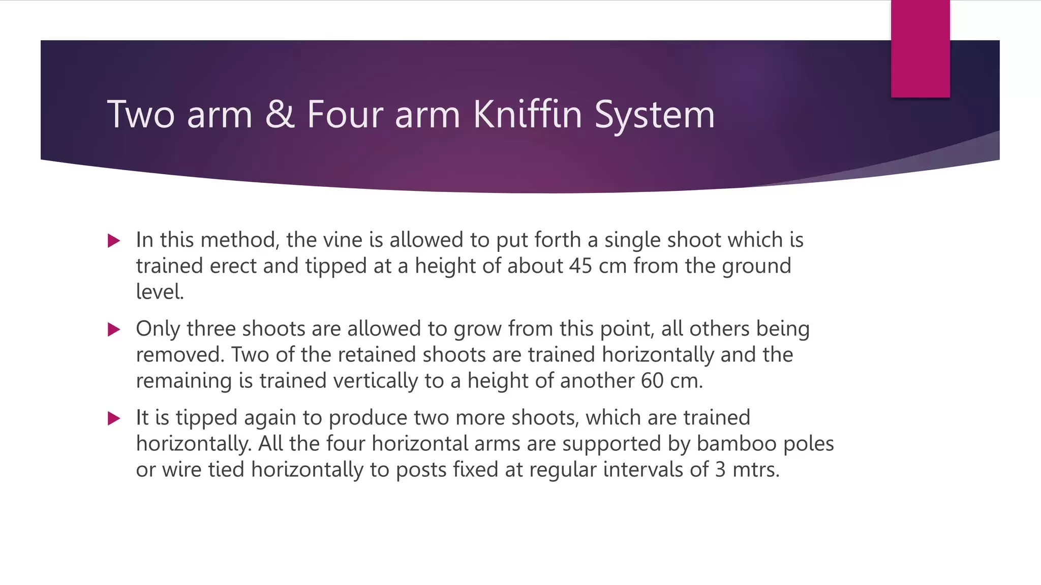 Slide 7