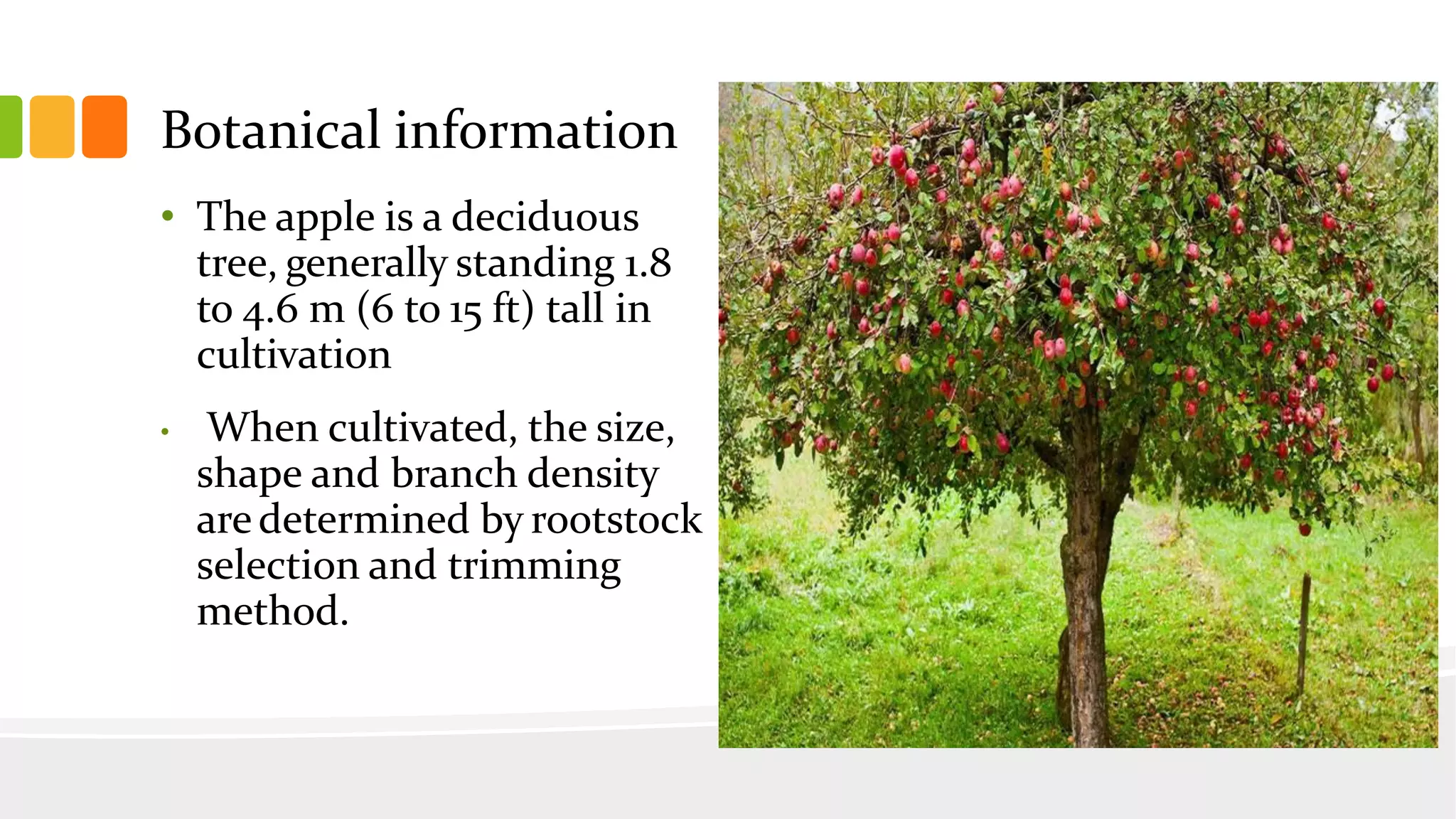 Slide 9