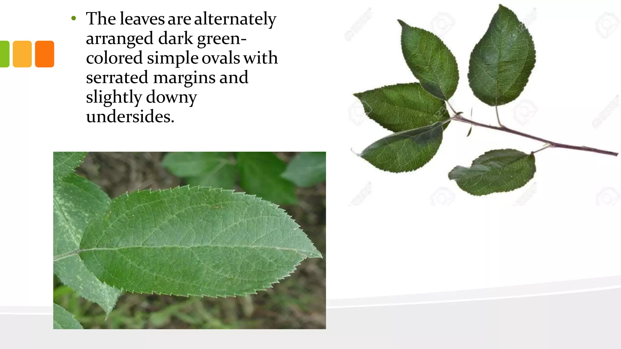 Slide 10