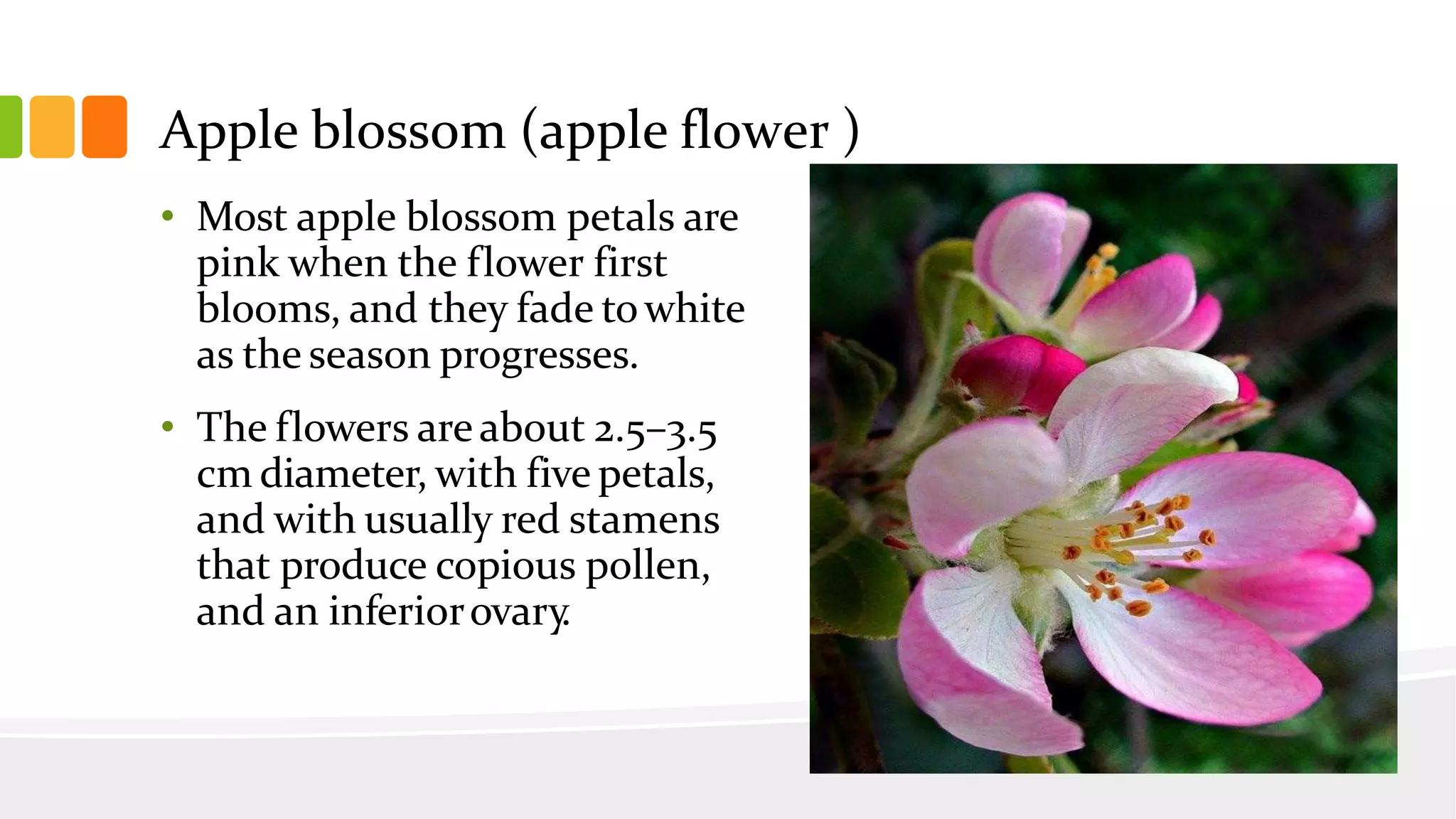 Slide 11