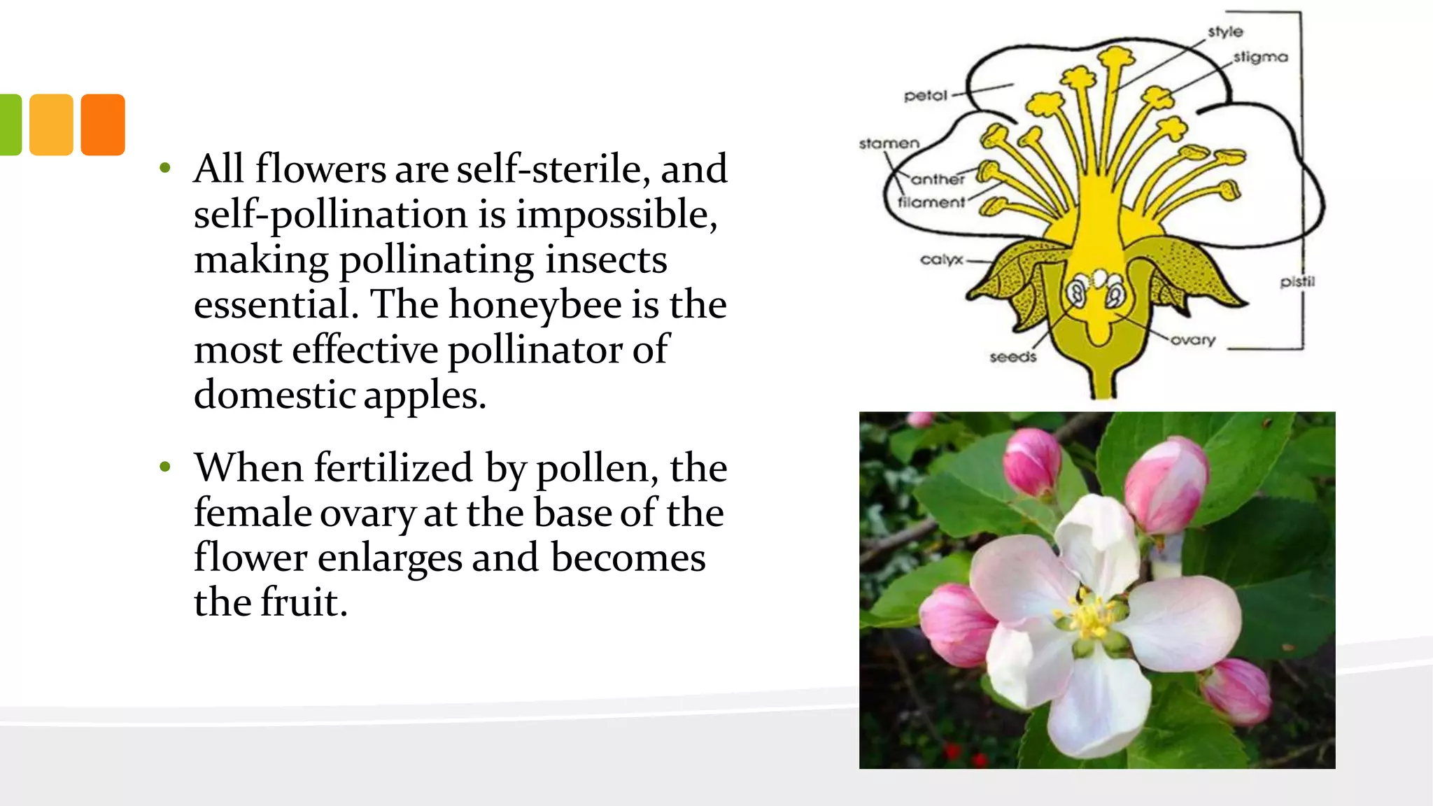 Slide 12