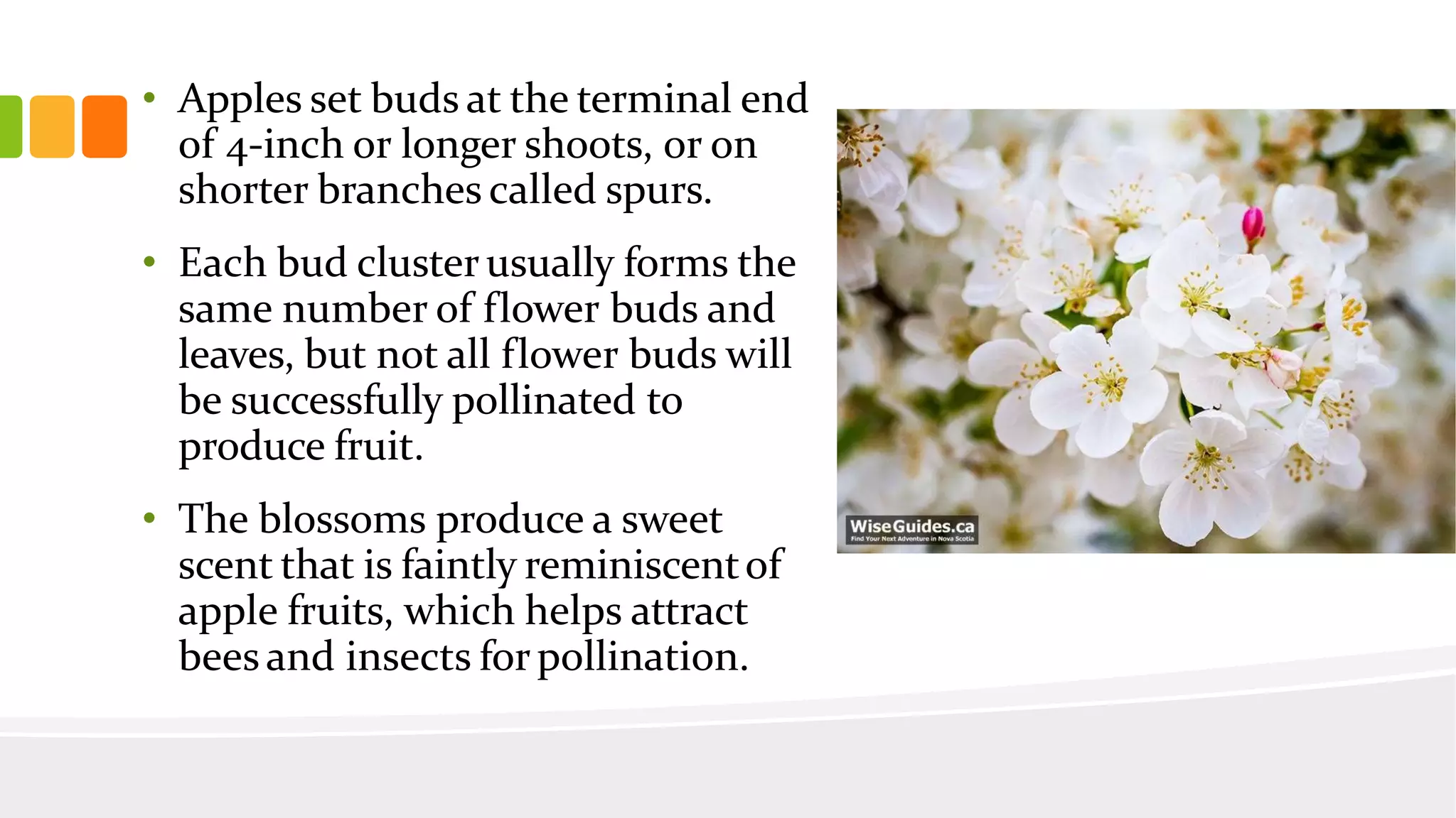 Slide 13