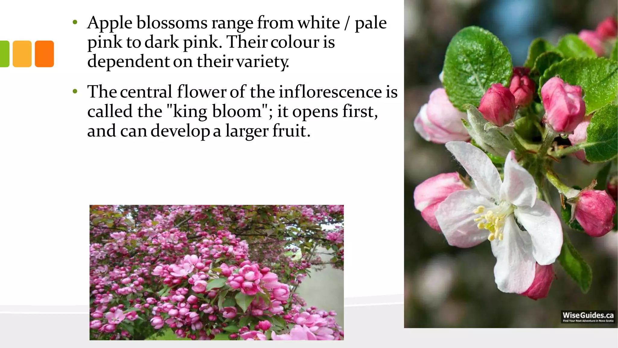 Slide 14