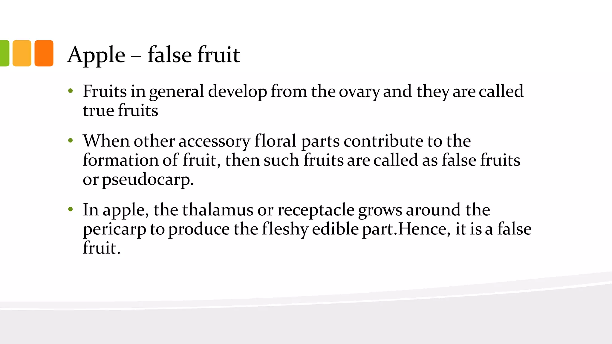 Slide 19